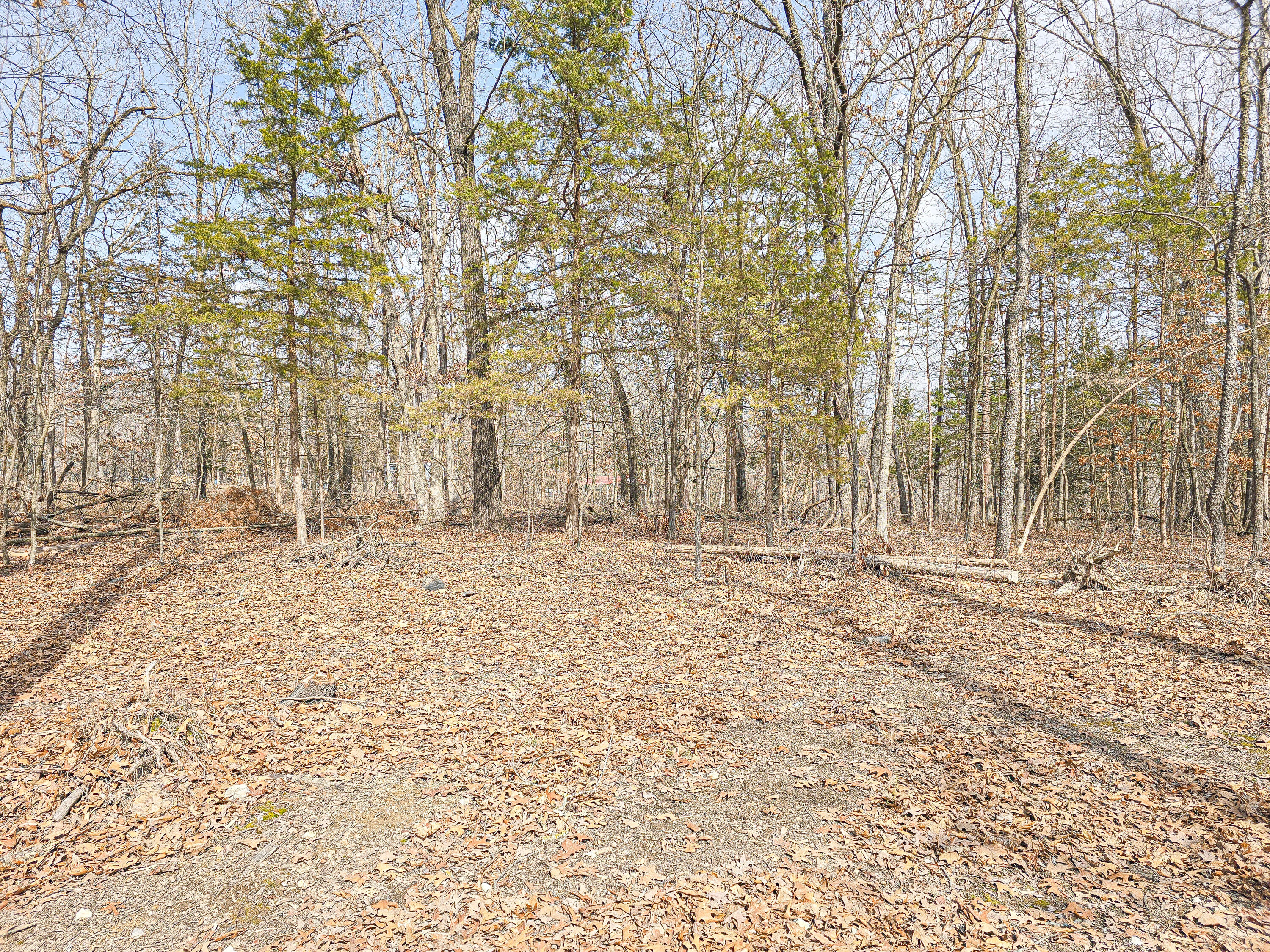 26368 Cr 331 Property Photo 3