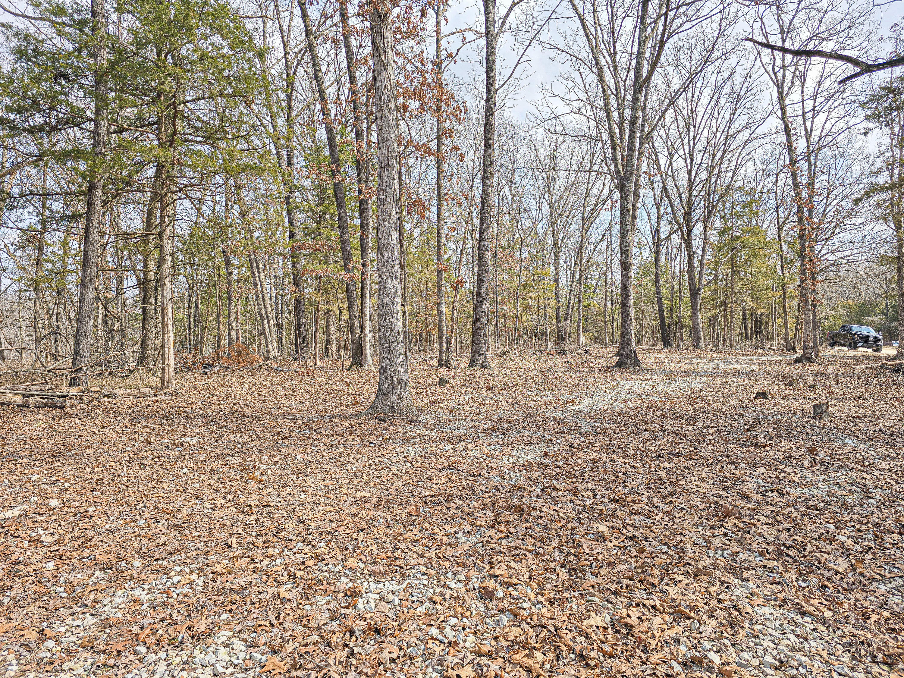 26368 Cr 331 Property Photo 6