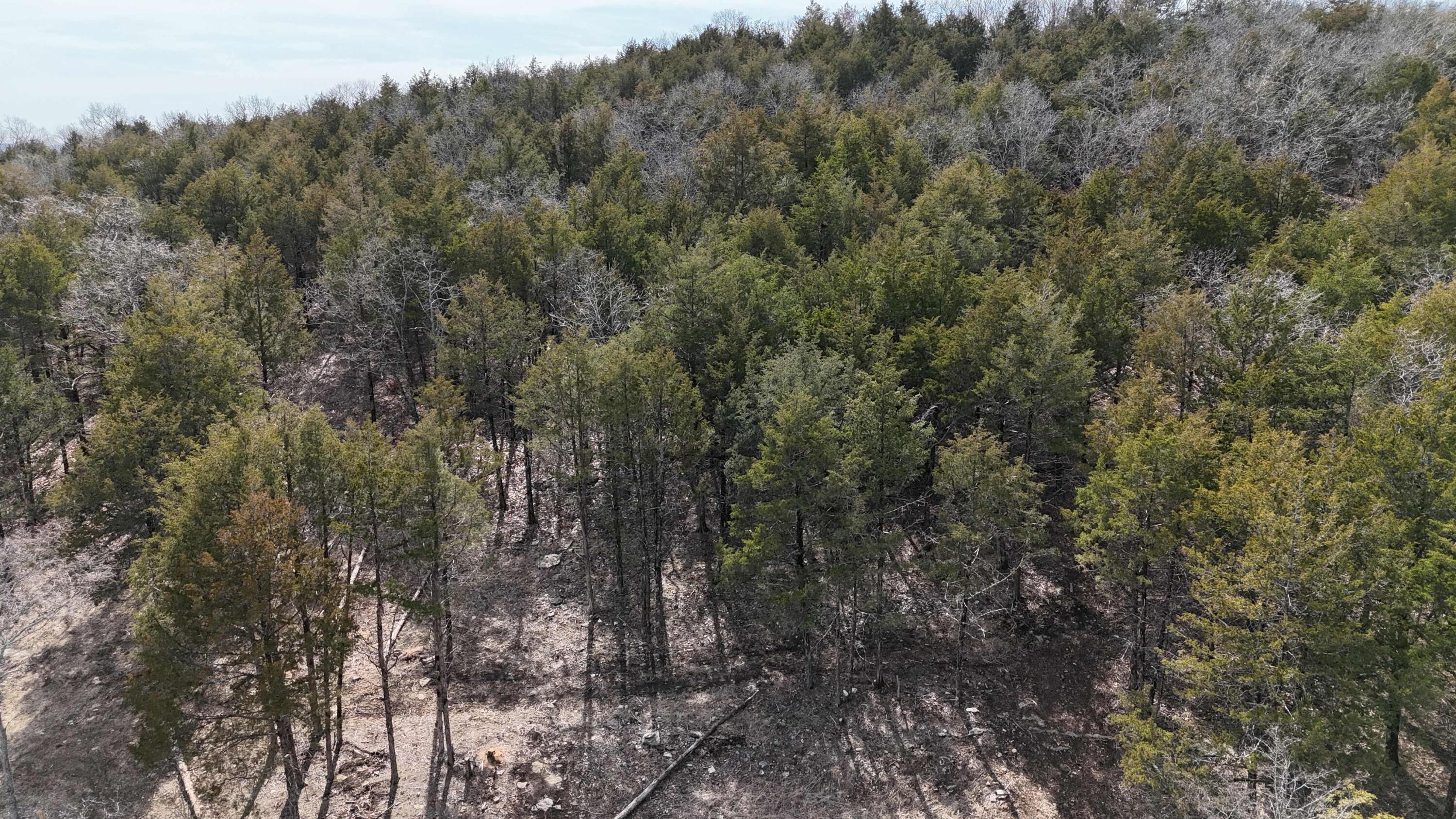 20934 Missouri E Property Photo 3