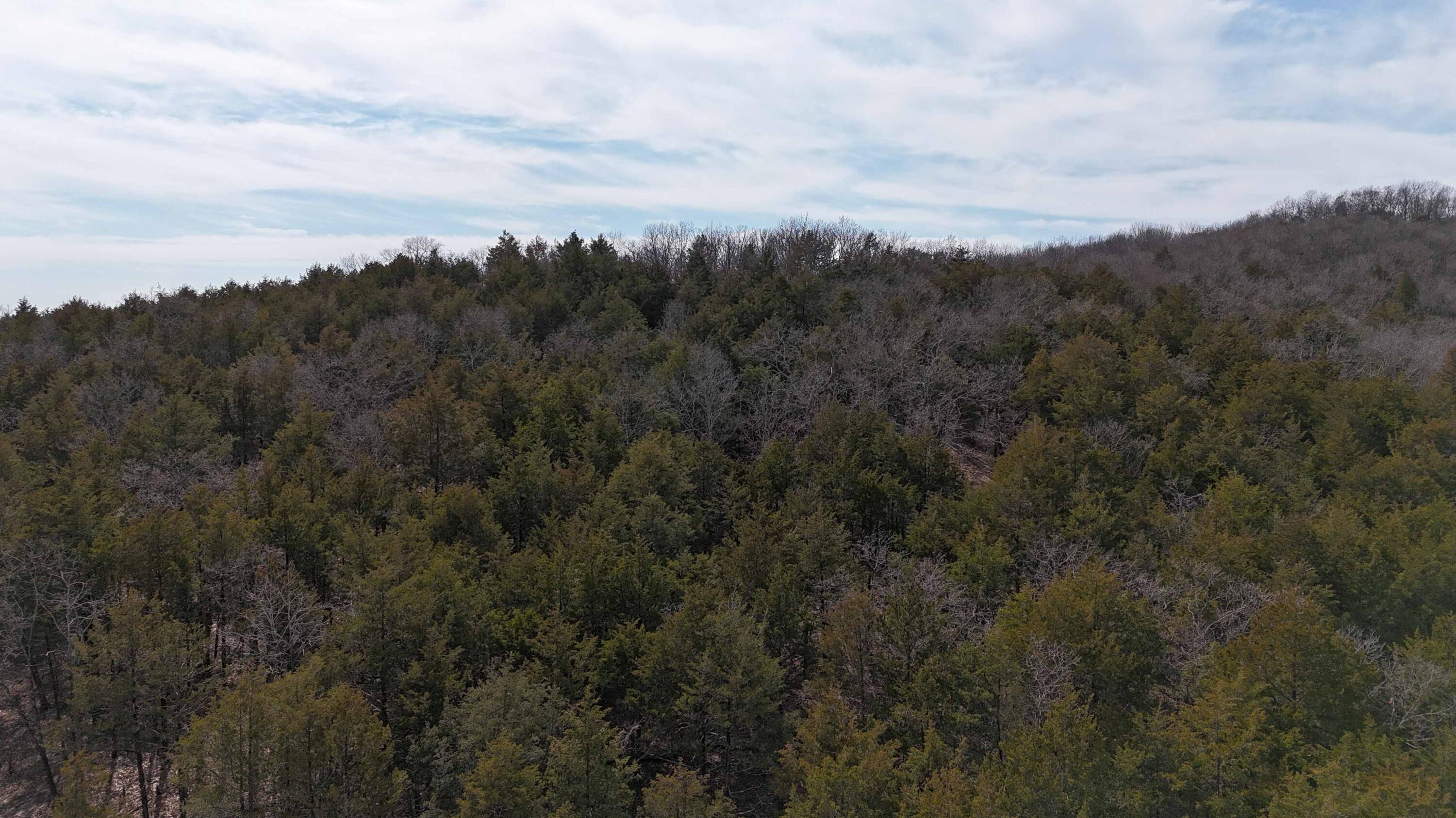 20934 Missouri E Property Photo 6