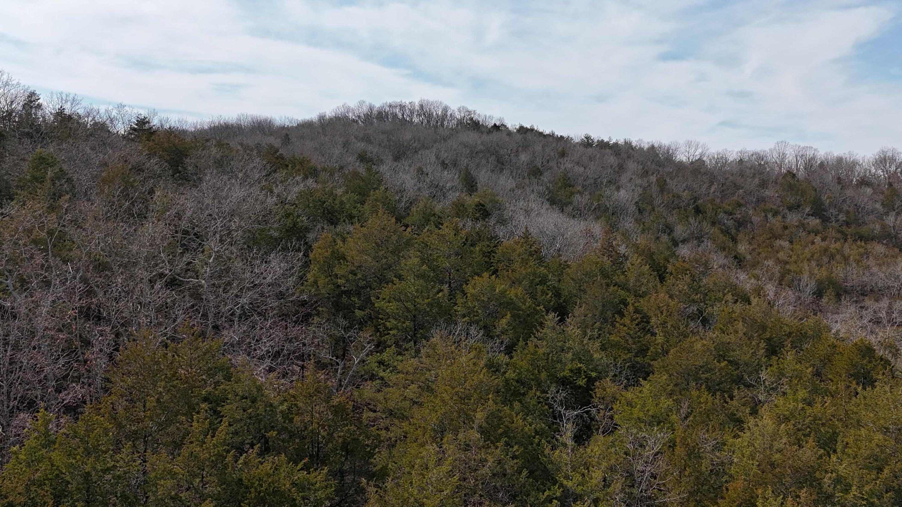 20934 Missouri E Property Photo 15