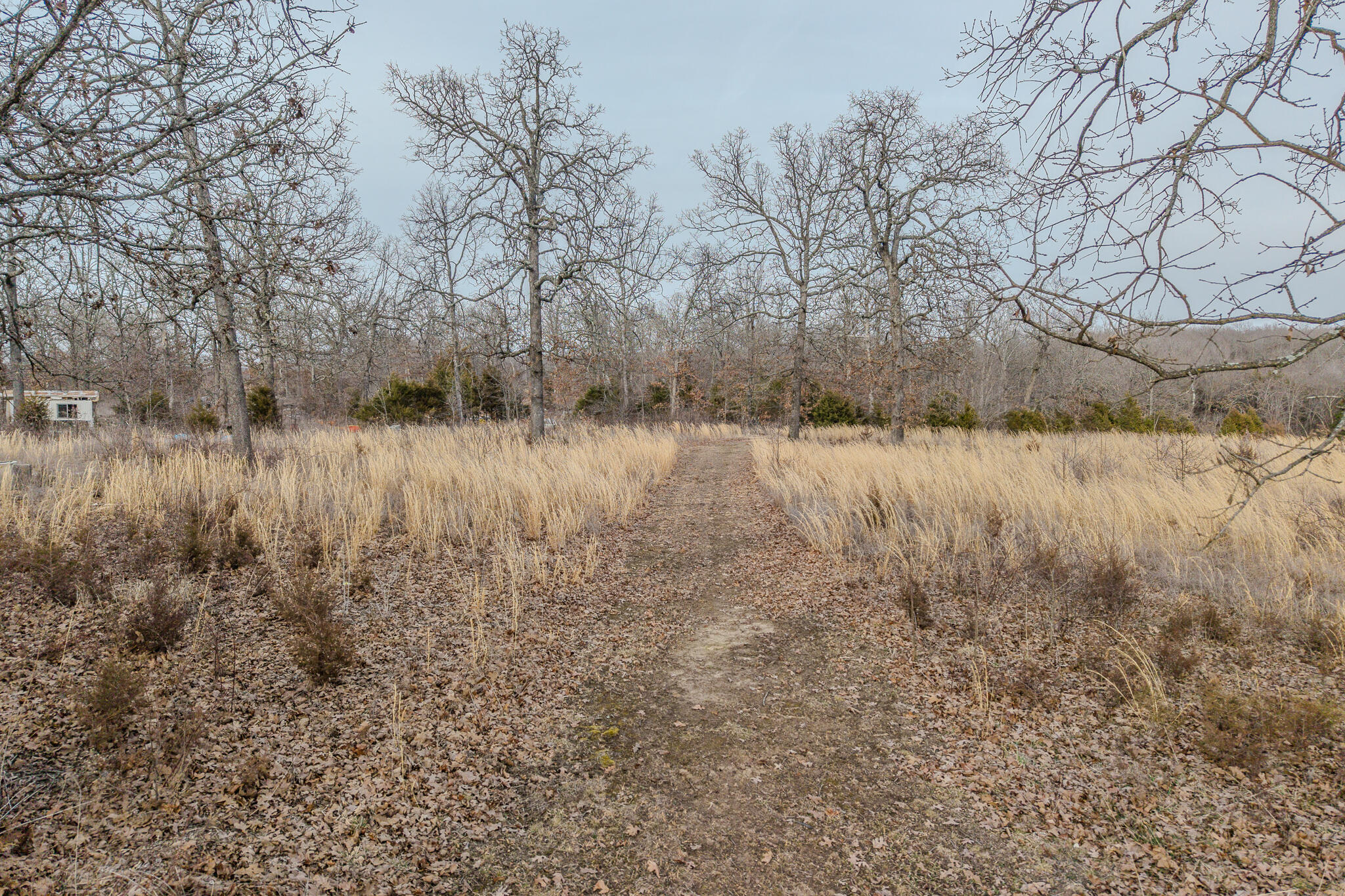 31932 Highway 5 Property Photo 59
