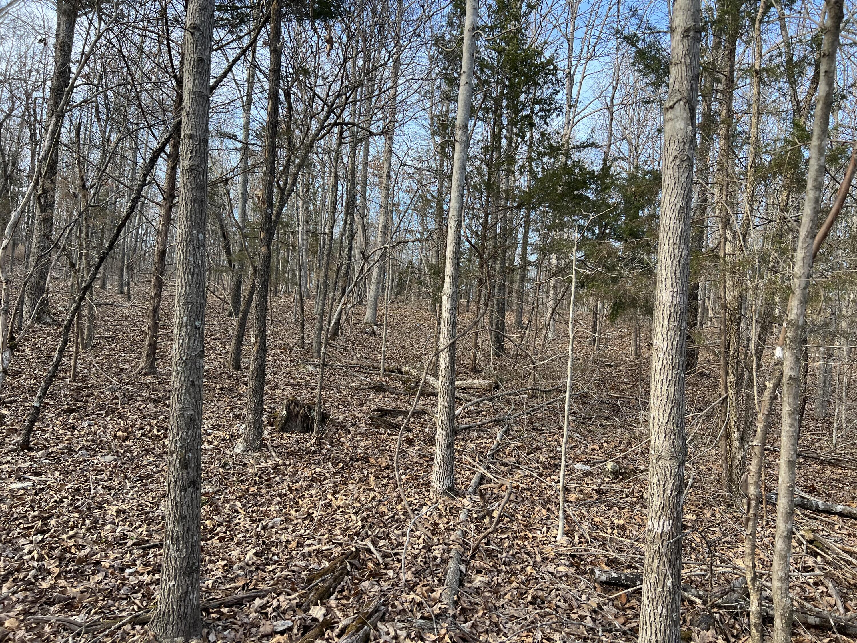 2371-b County Road 359 Property Photo