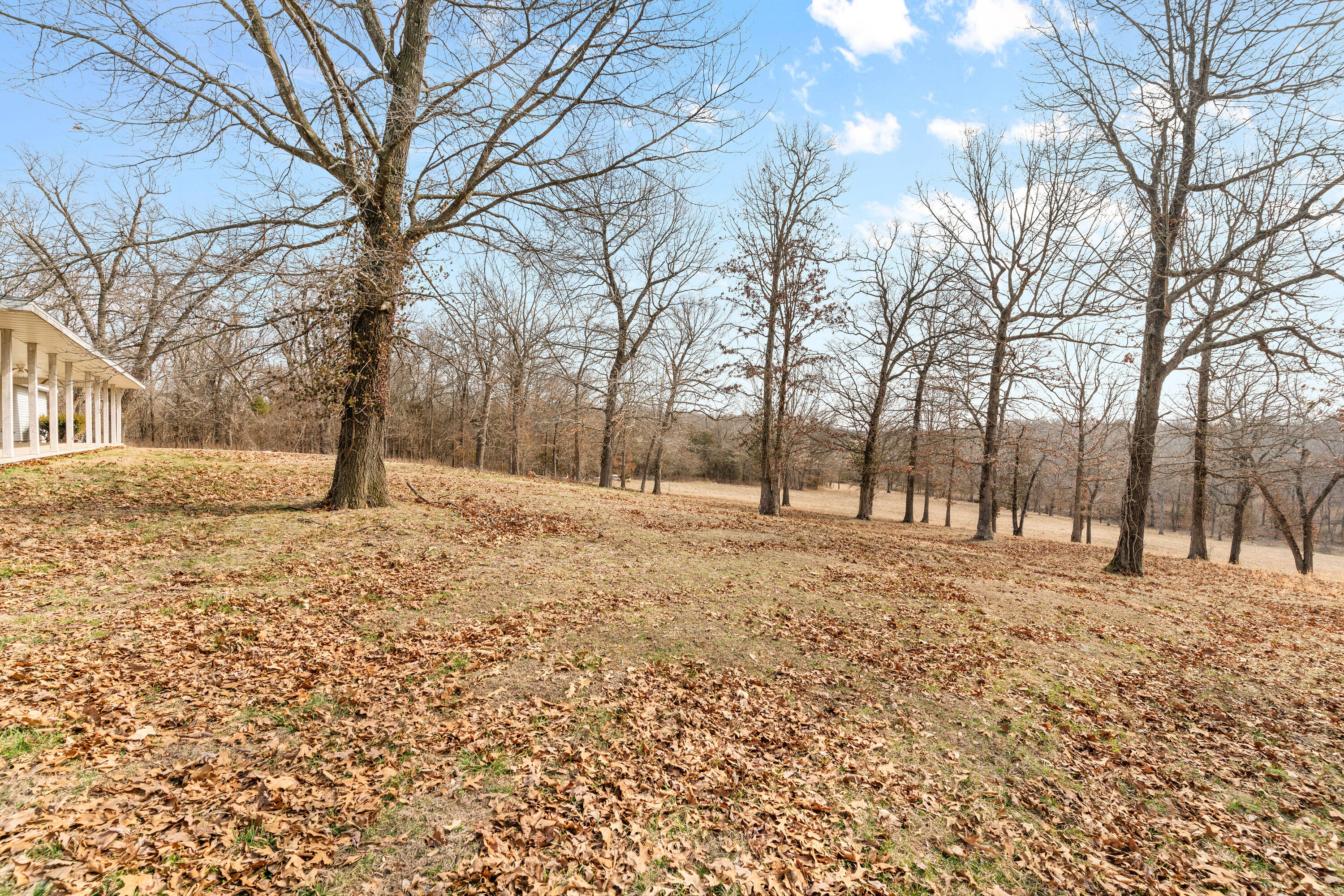 3542 West Farm Rd 60 Property Photo 44