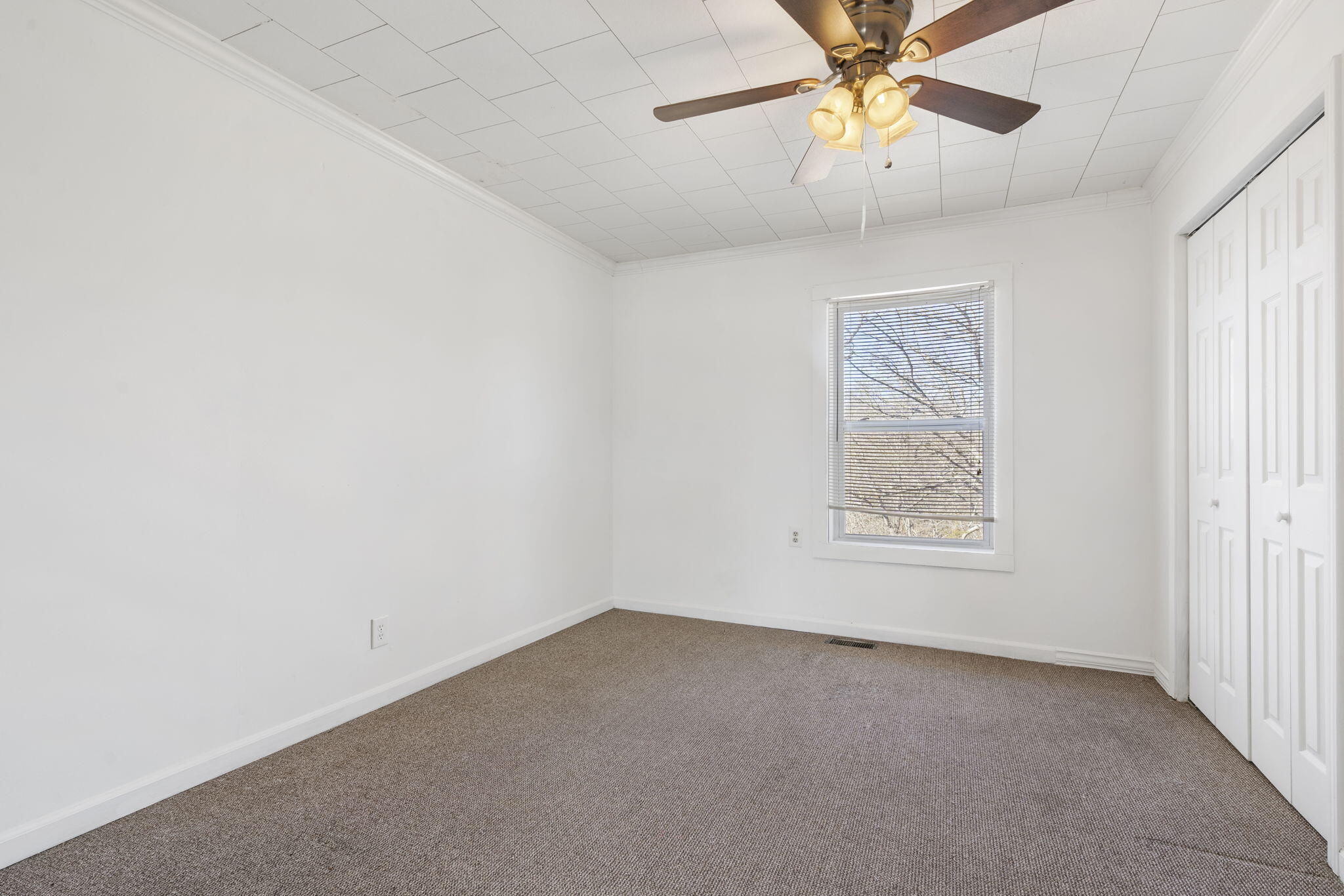 8345 State Hwy 248 Property Photo 15