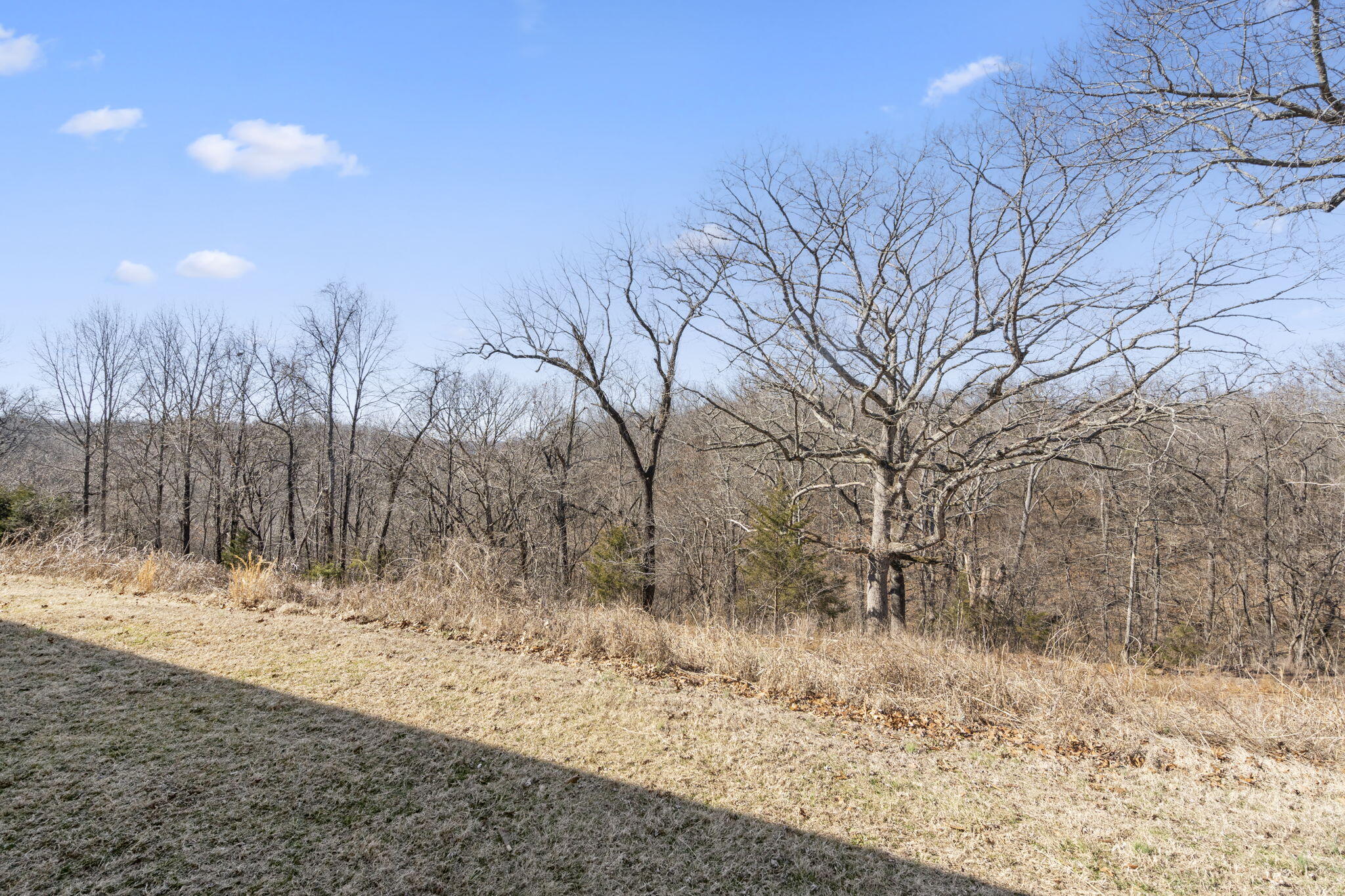 8345 State Hwy 248 Property Photo 17