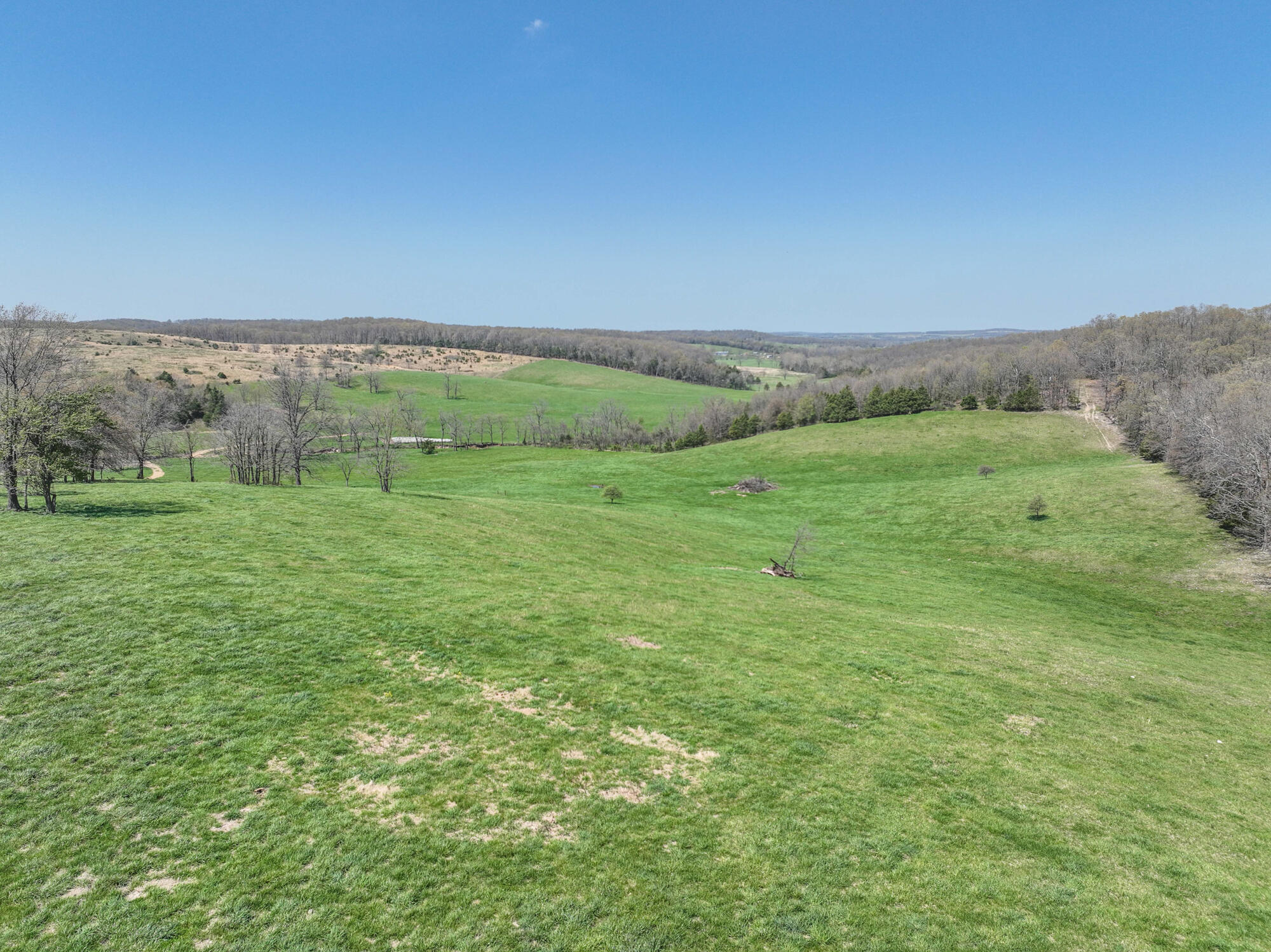 16201 Dutch Drive Property Photo 5