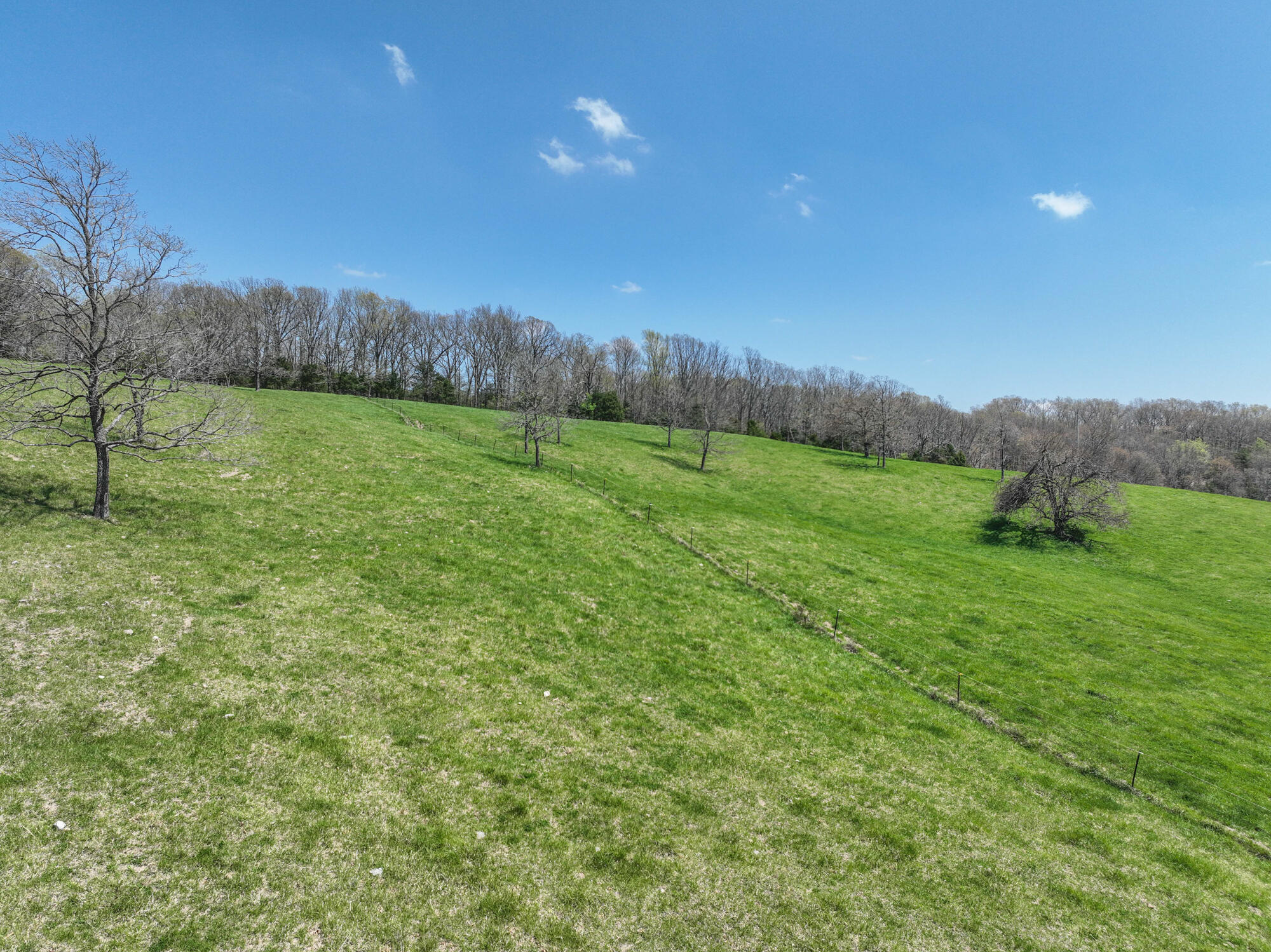 16201 Dutch Drive Property Photo 40