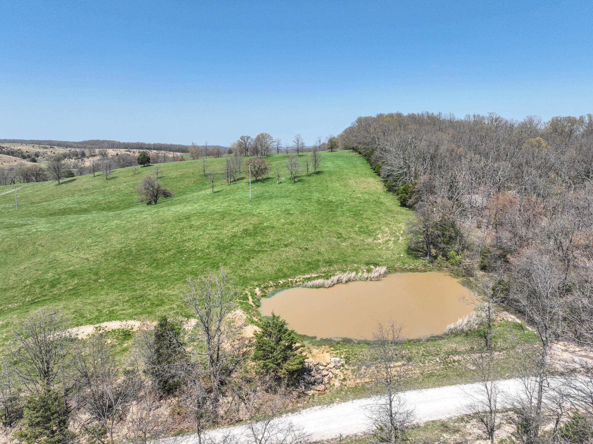 16201 Dutch Drive Property Photo 44
