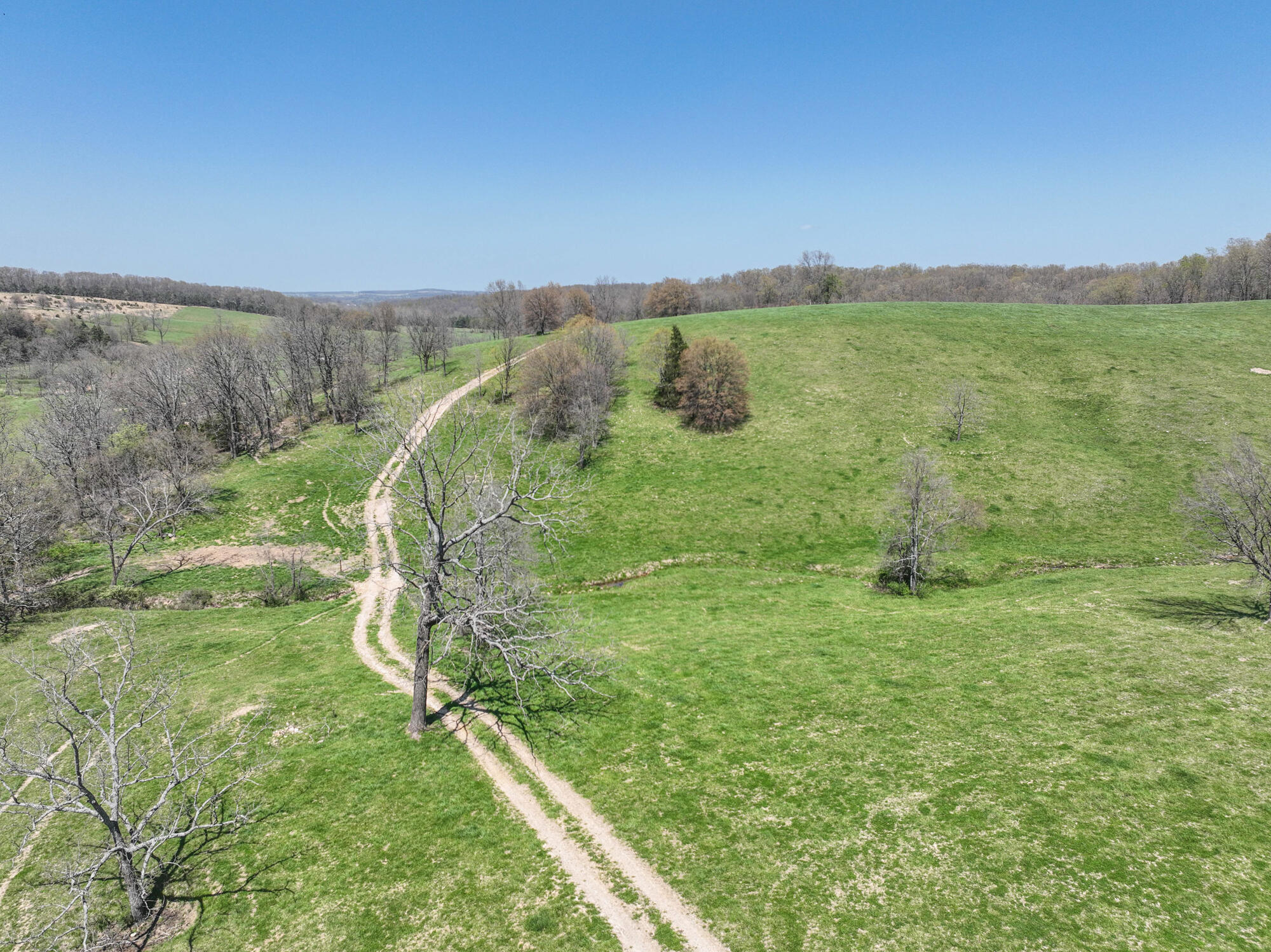 16201 Dutch Drive Property Photo 49