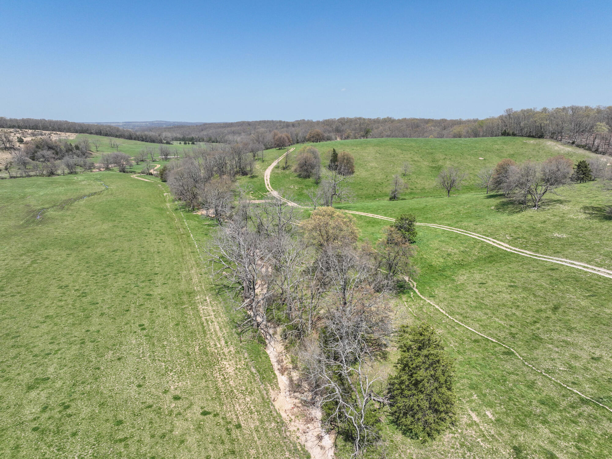 16201 Dutch Drive Property Photo 89