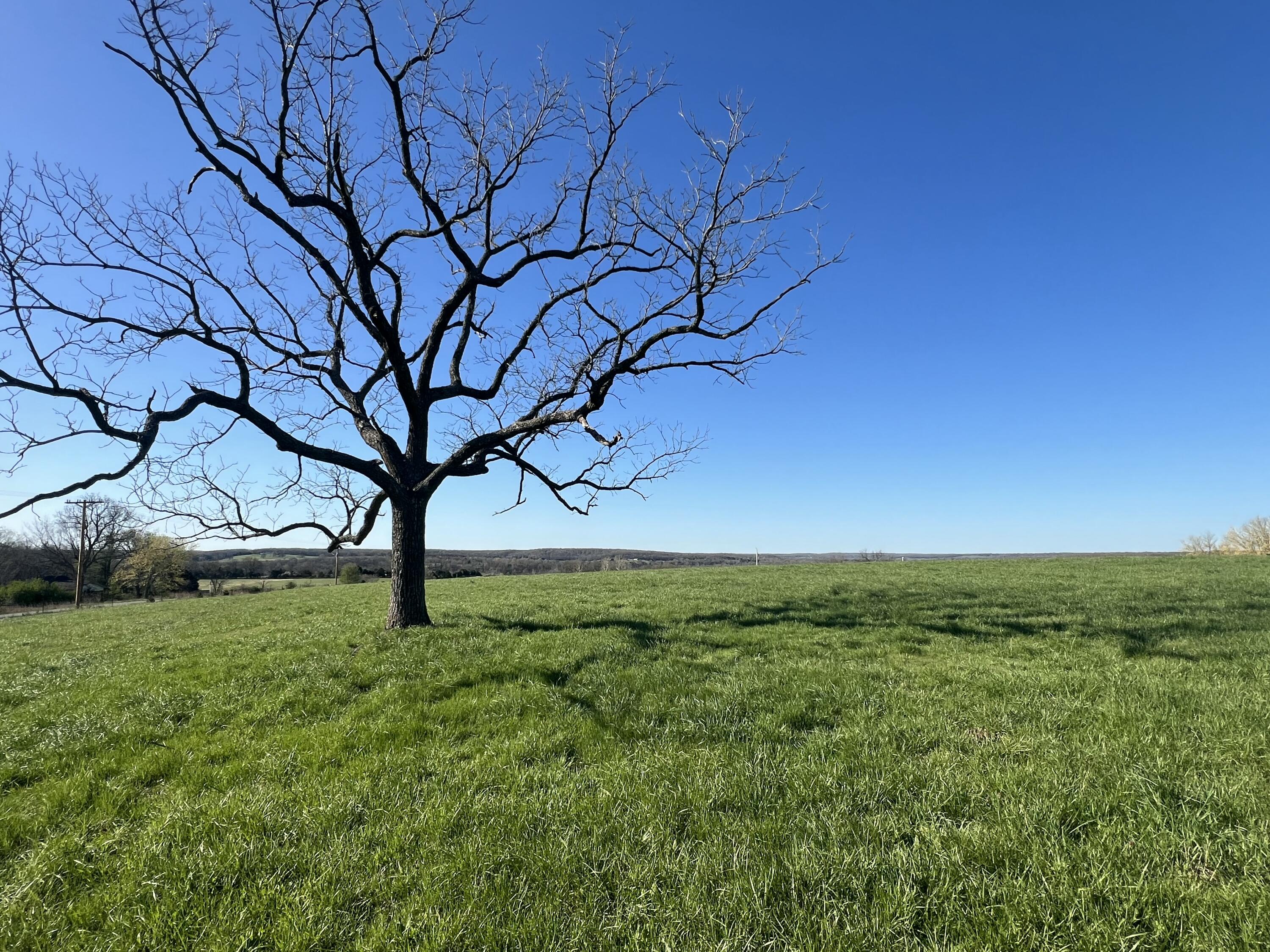 167 State Highway Jj Property Photo 2