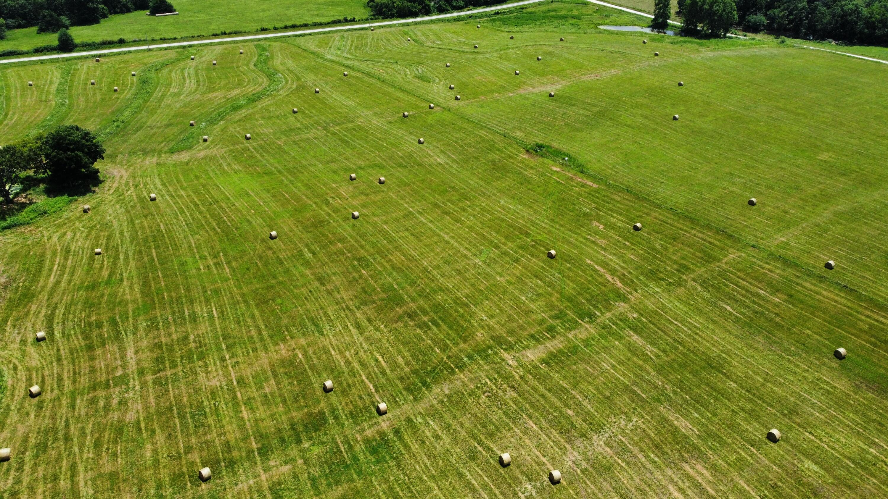 167 State Highway Jj Property Photo 21