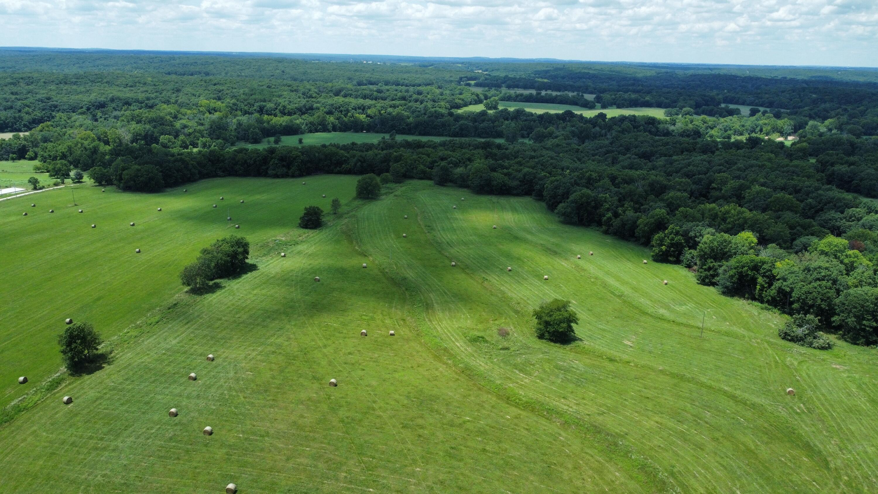 167 State Highway Jj Property Photo 23