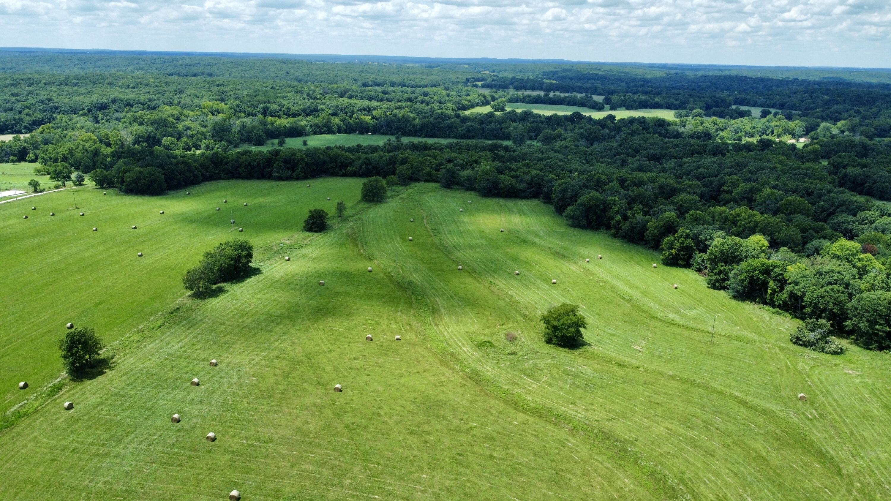 167 State Highway Jj Property Photo 24