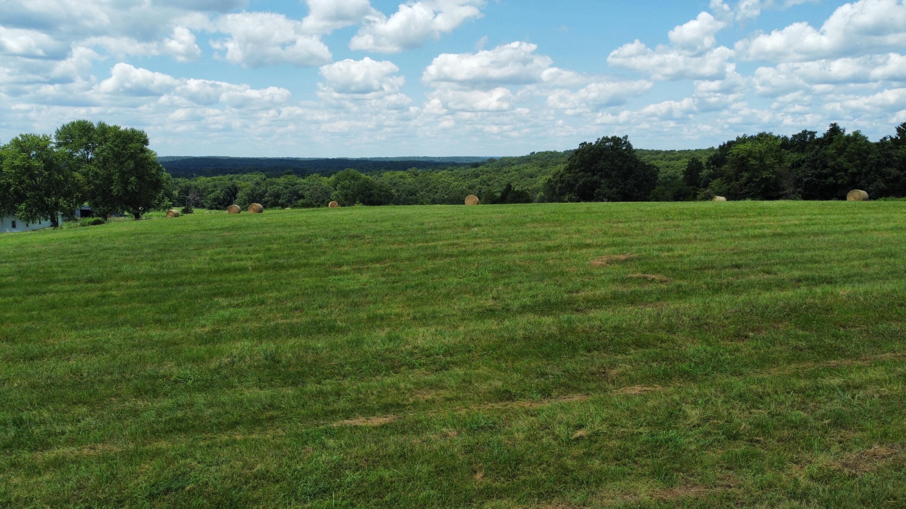 167 State Highway Jj Property Photo 25