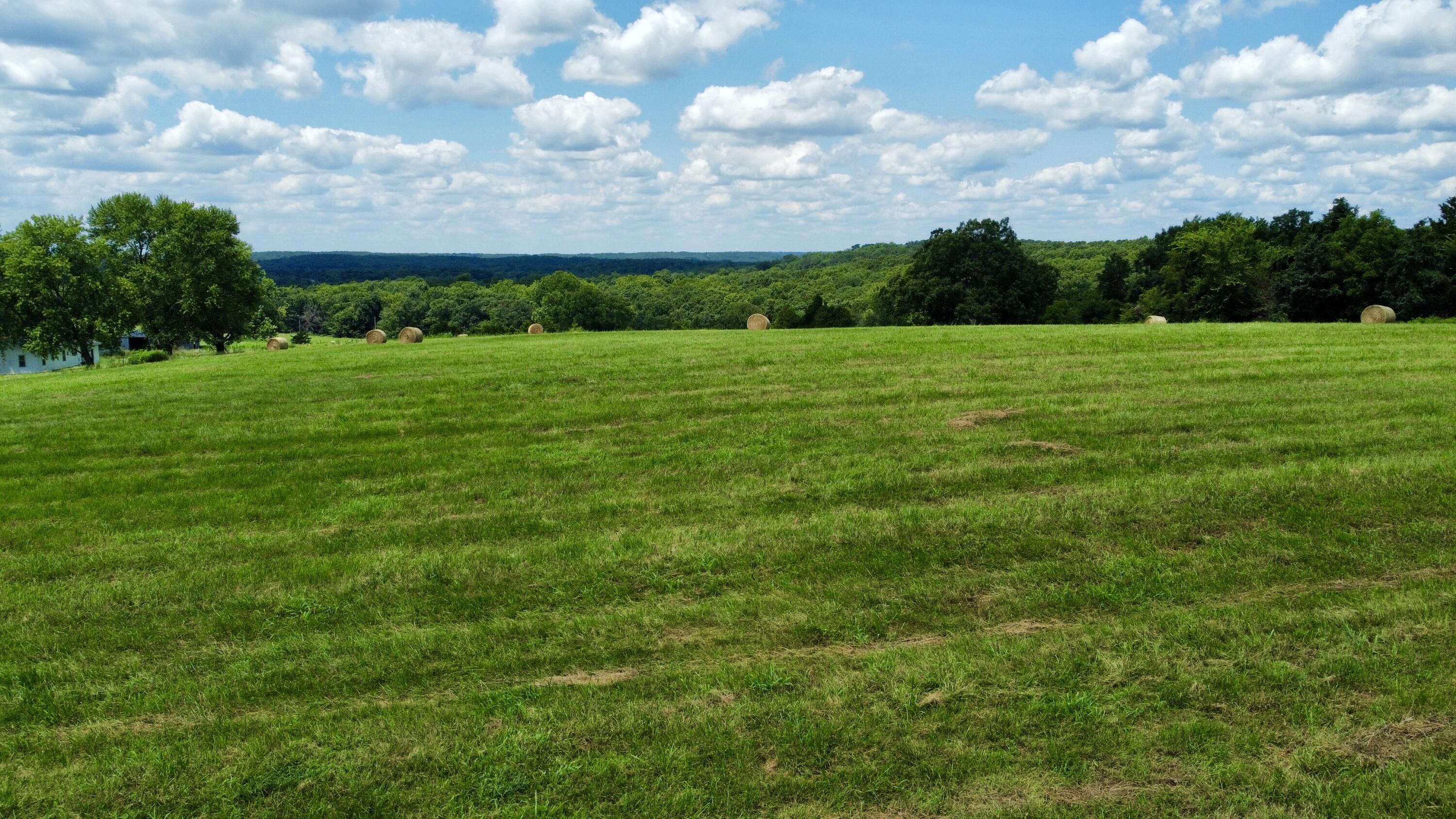 167 State Highway Jj Property Photo 26
