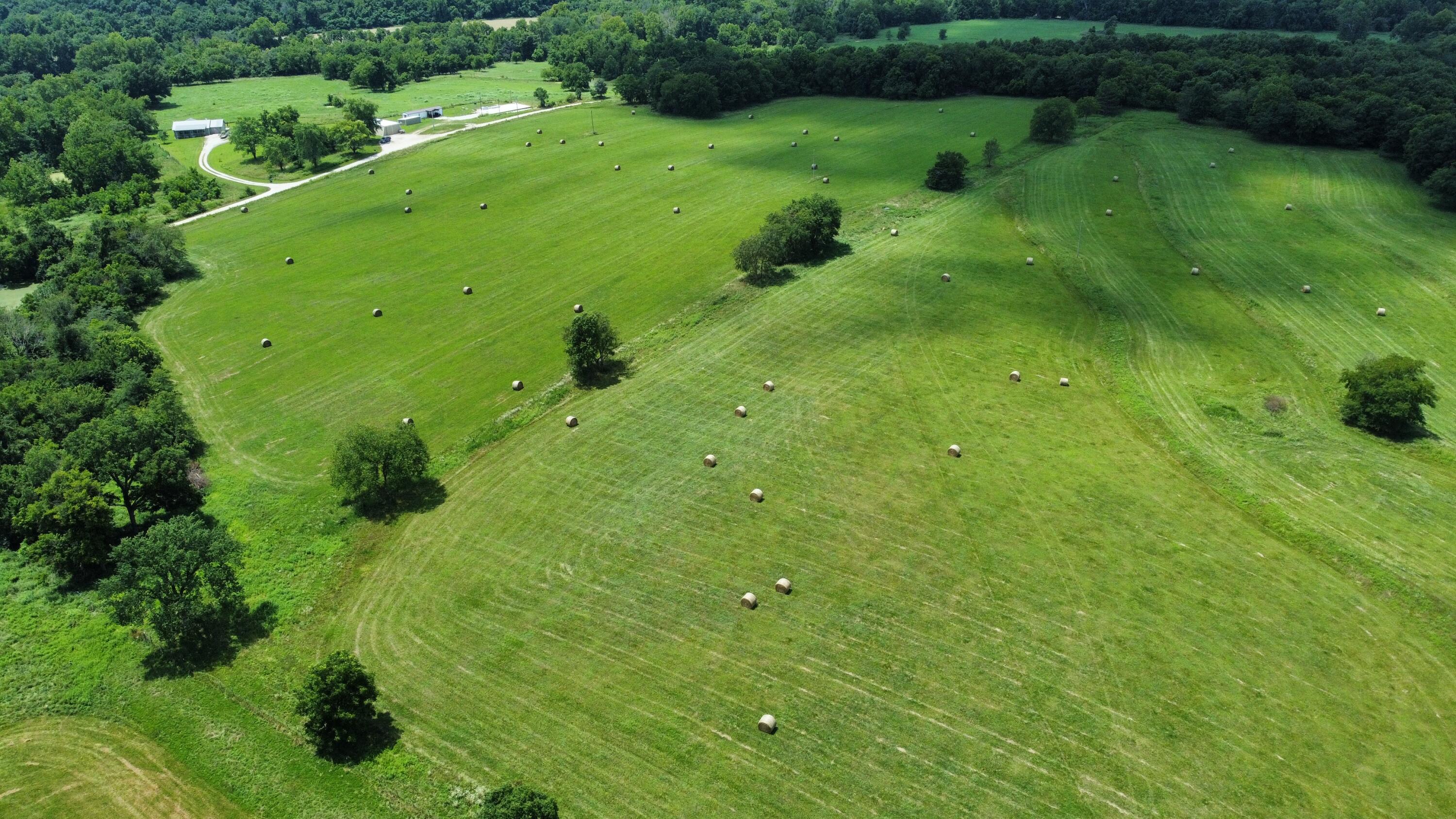167 State Highway Jj Property Photo 27