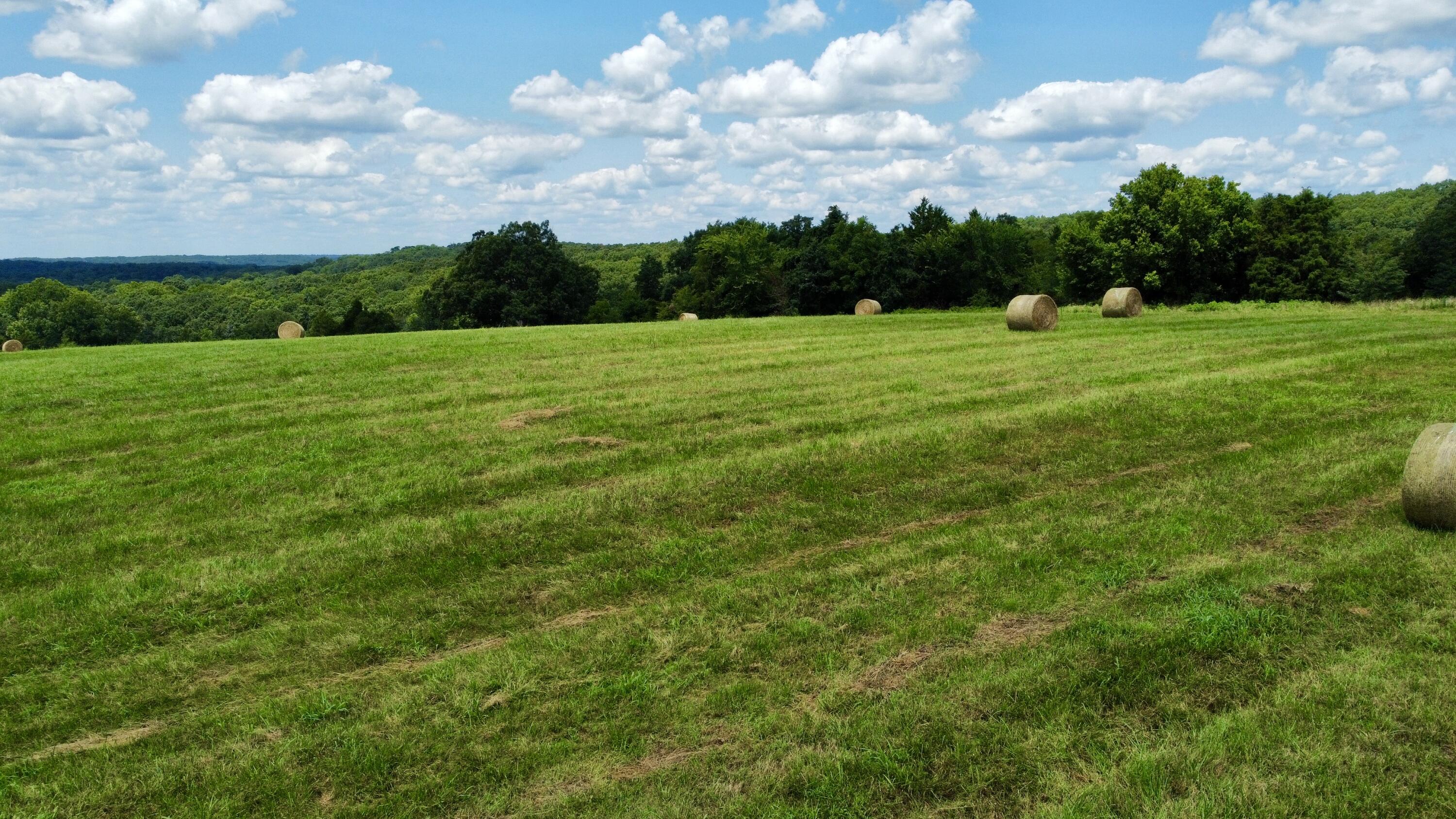 167 State Highway Jj Property Photo 28