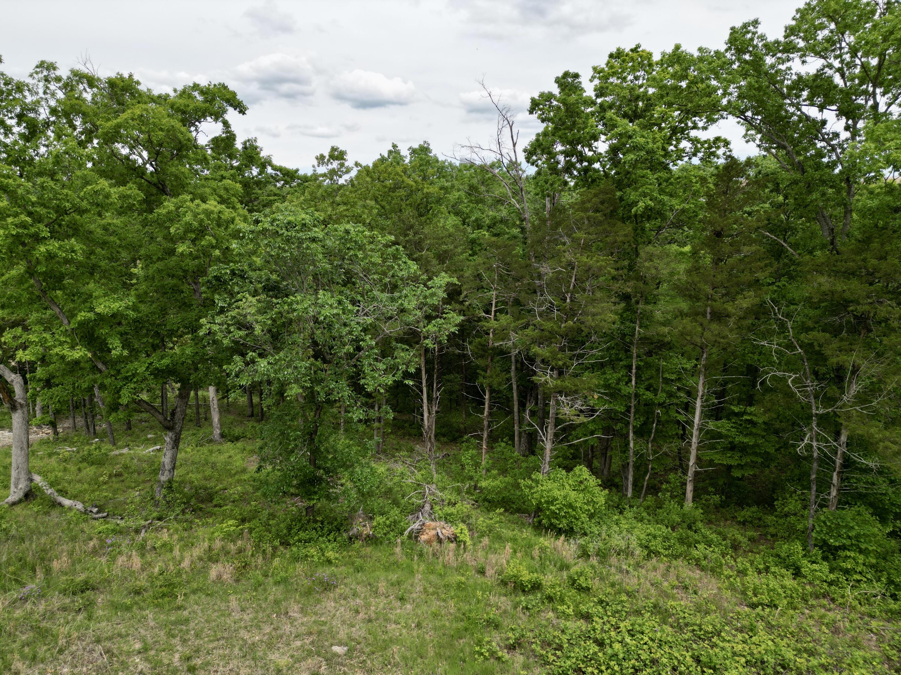 152 Shinnecock Hills Drive Property Photo 1