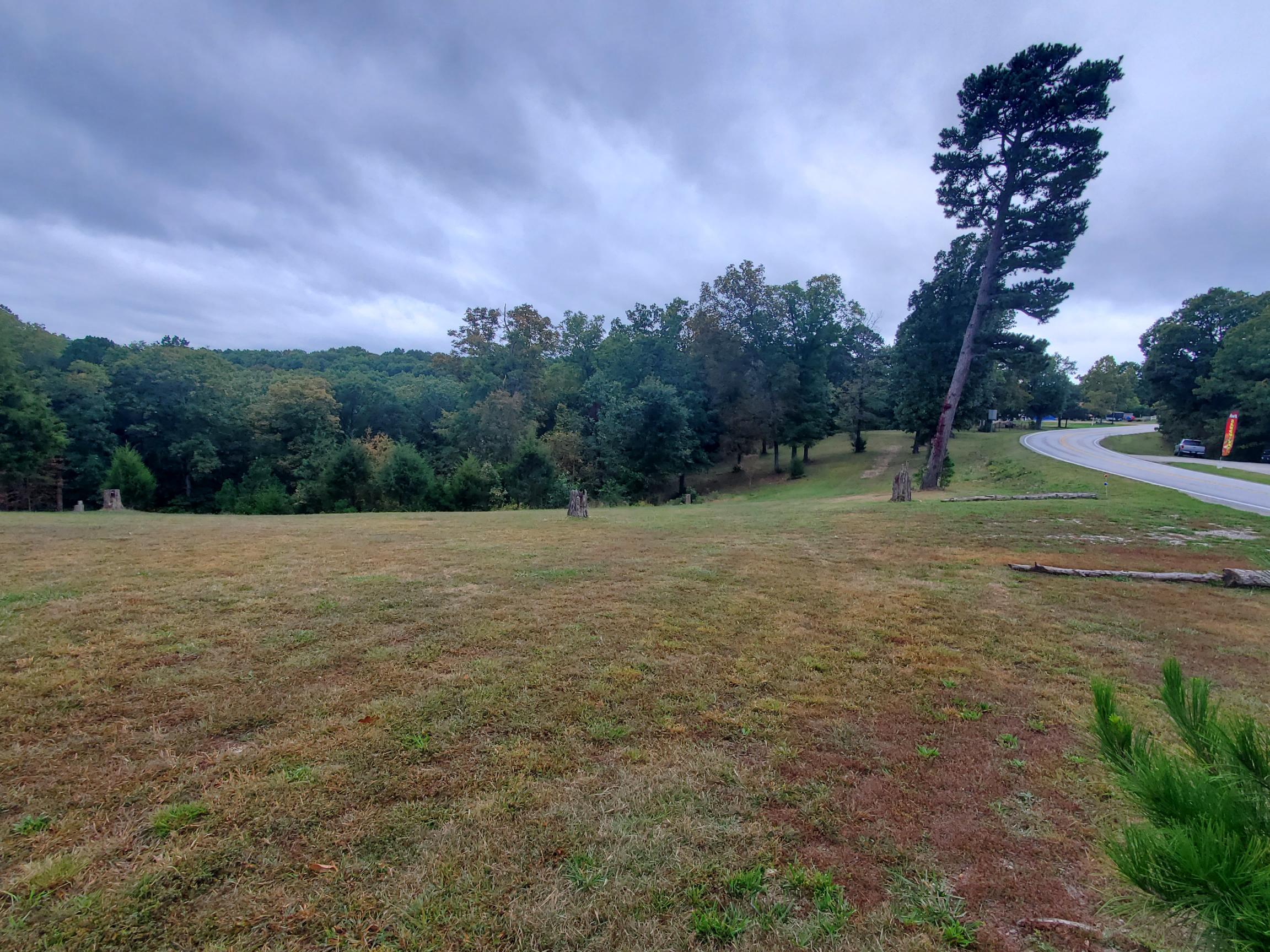 Pine Tree Ridge Real Estate Listings Main Image