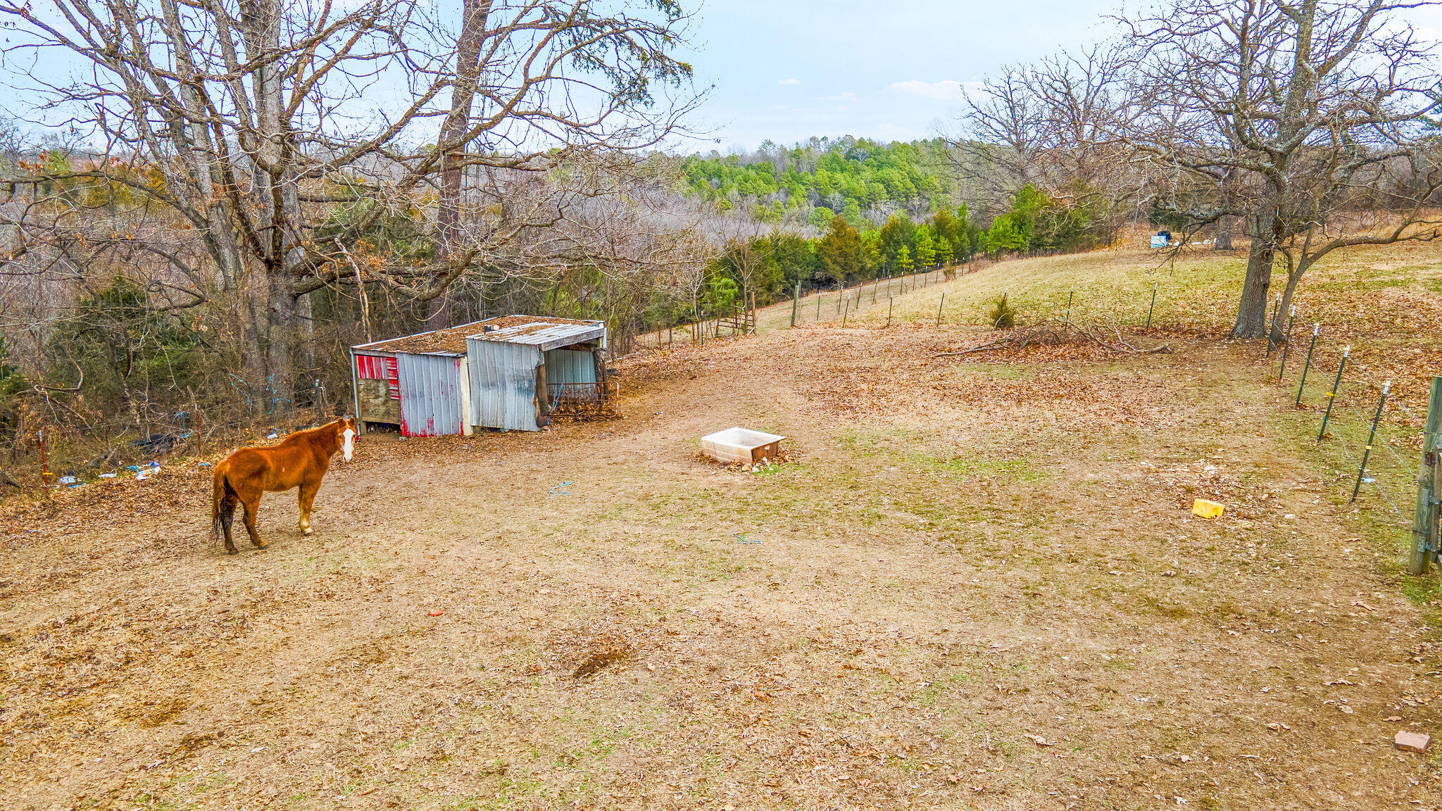 6548 State Highway 13 Property Photo 33