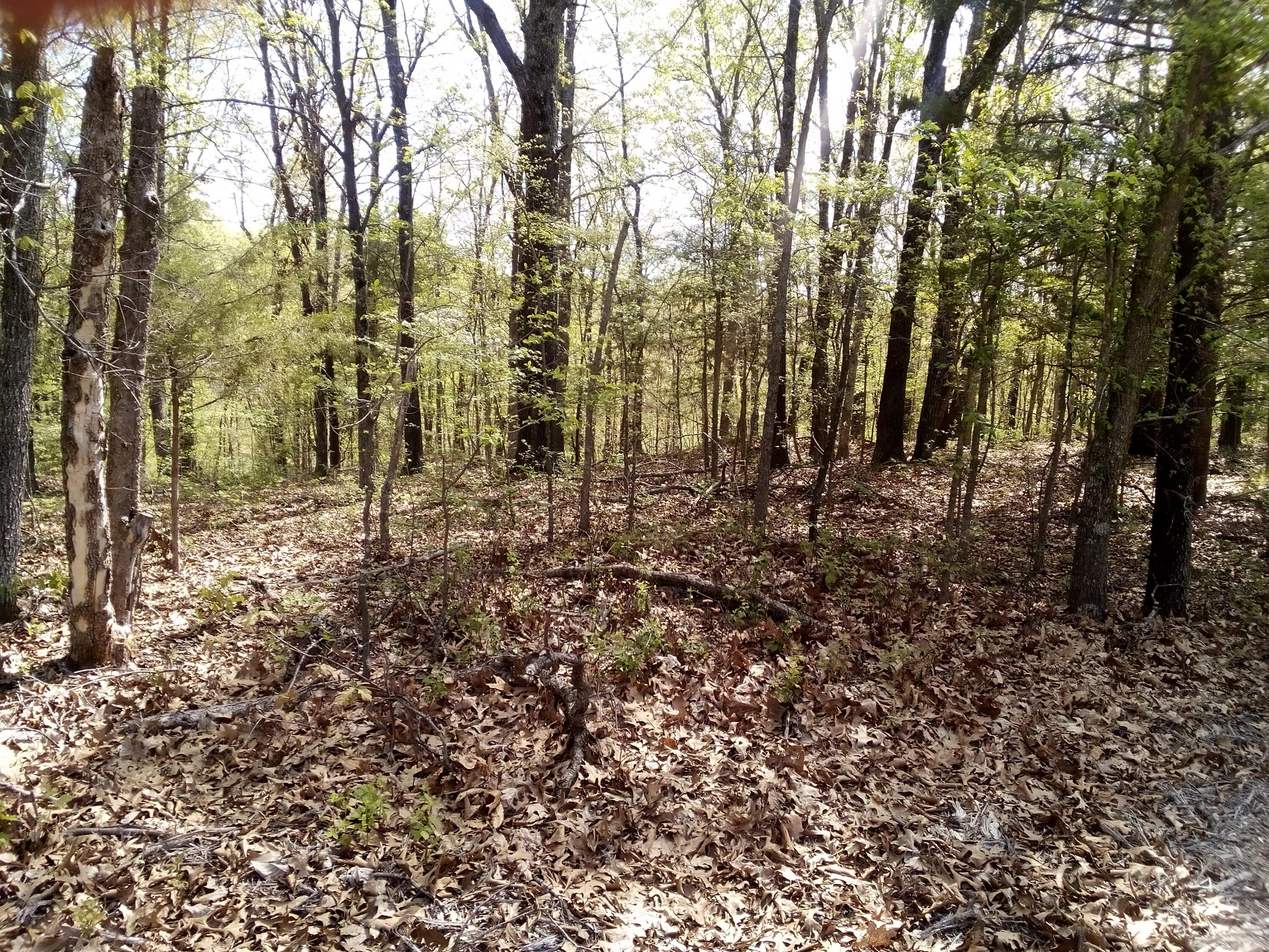Capp Hill Ranch Real Estate Listings Main Image