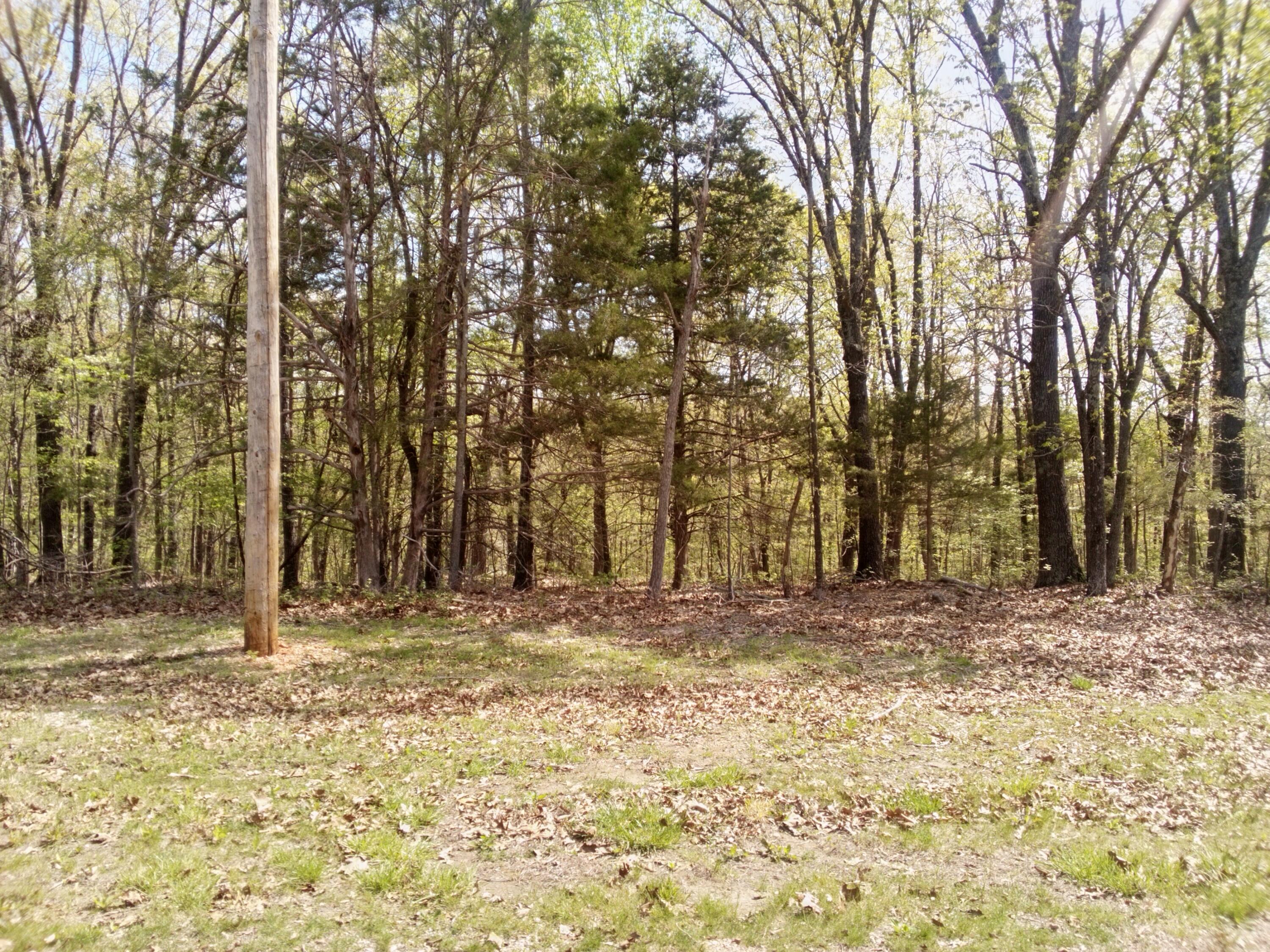 000 Serenity Ridge Road Property Photo 4