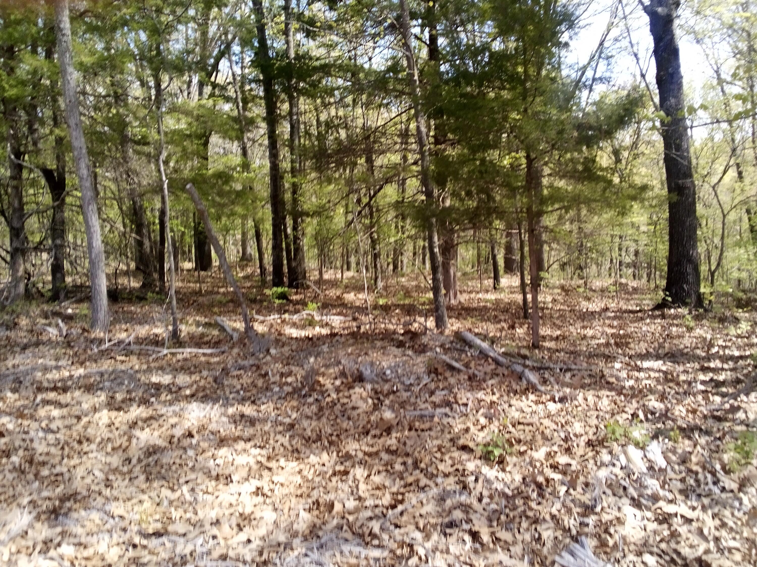 000 Serenity Ridge Road Property Photo 5