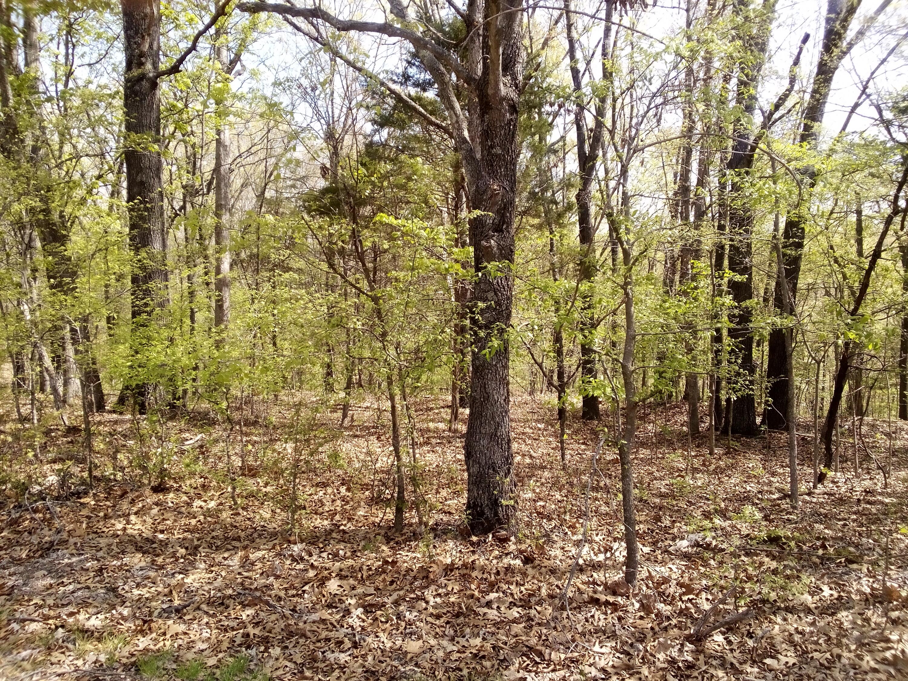 000 Serenity Ridge Road Property Photo 6