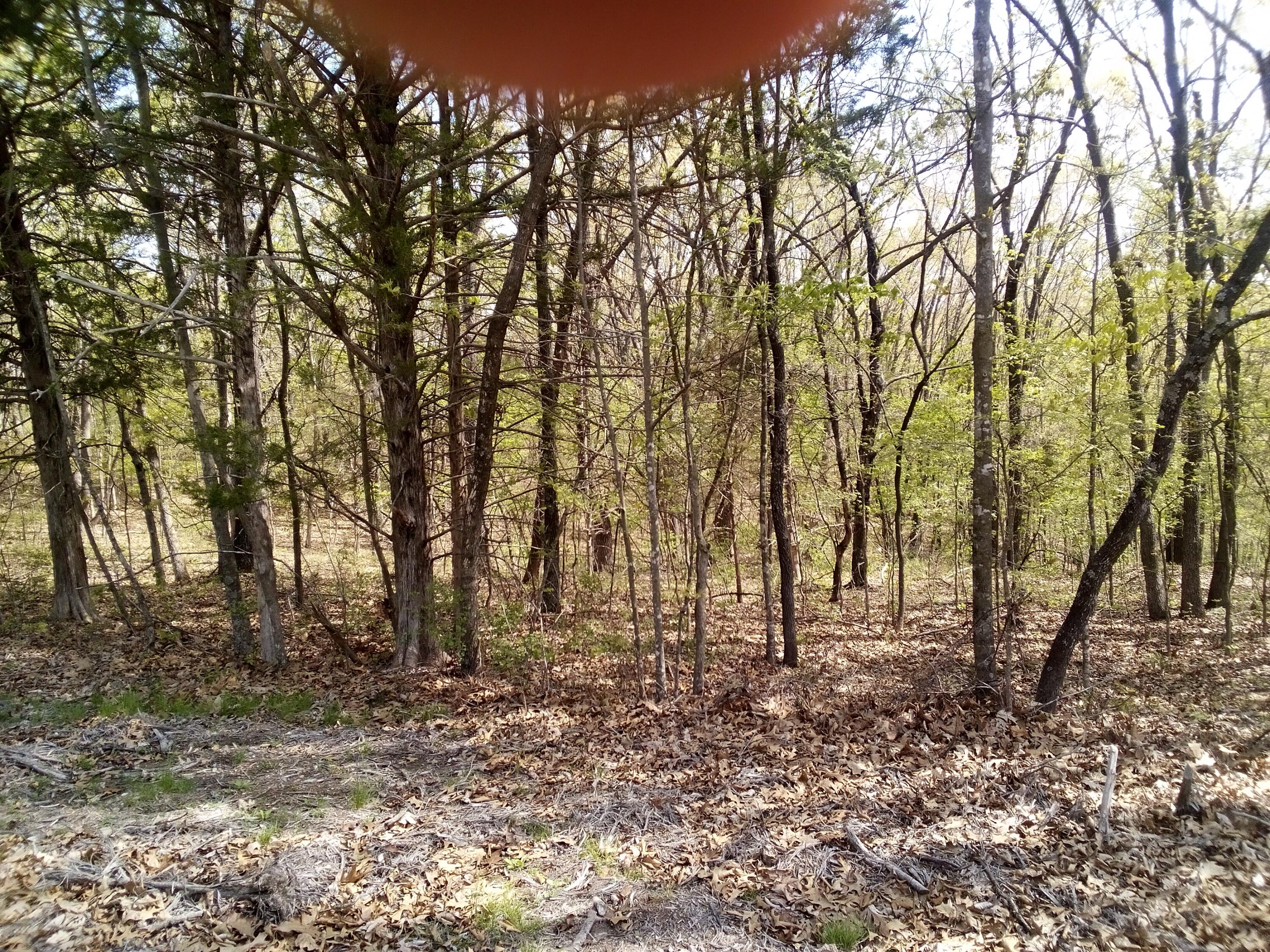 000 Serenity Ridge Road Property Photo 7