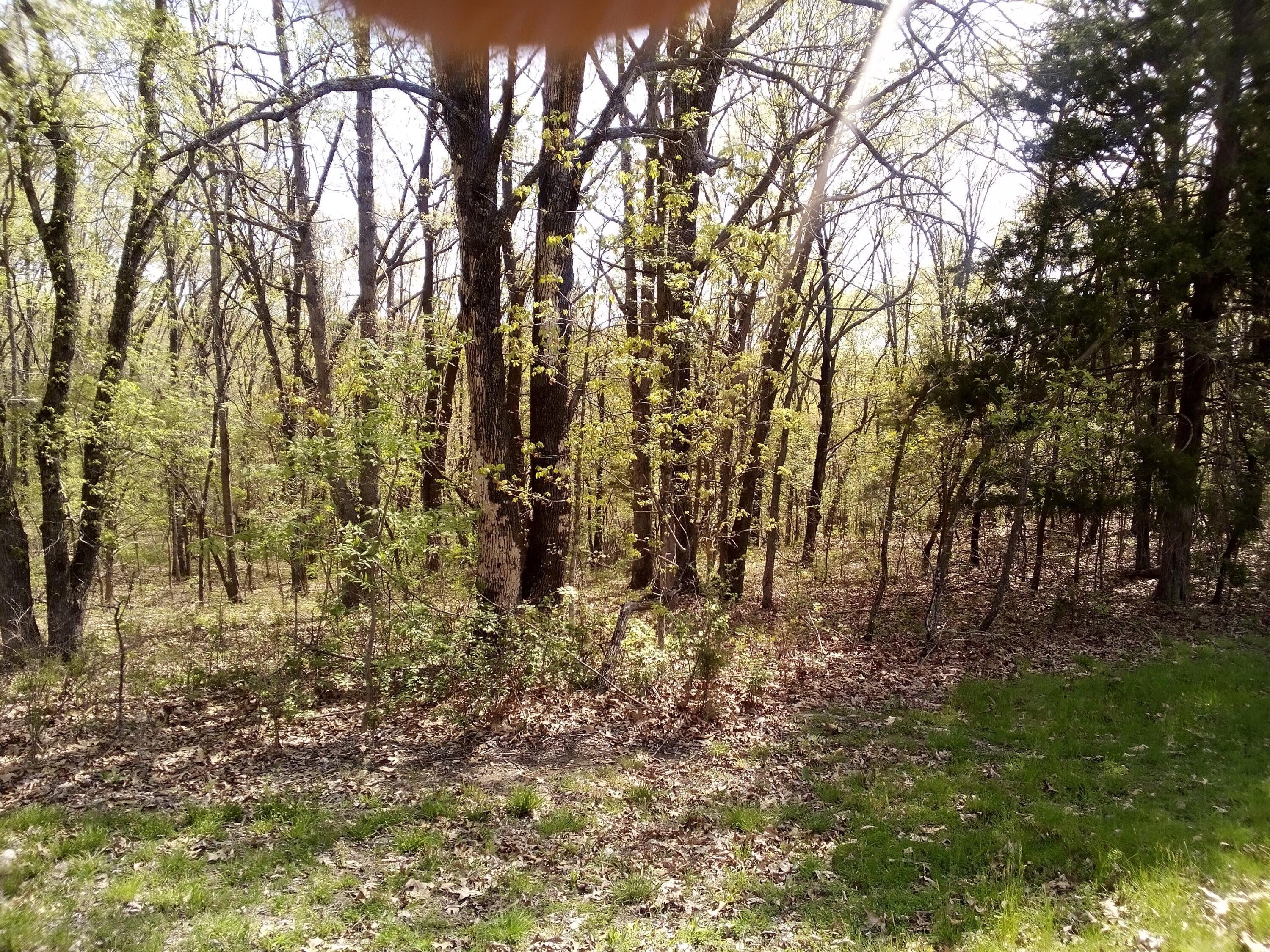 000 Serenity Ridge Road Property Photo 8