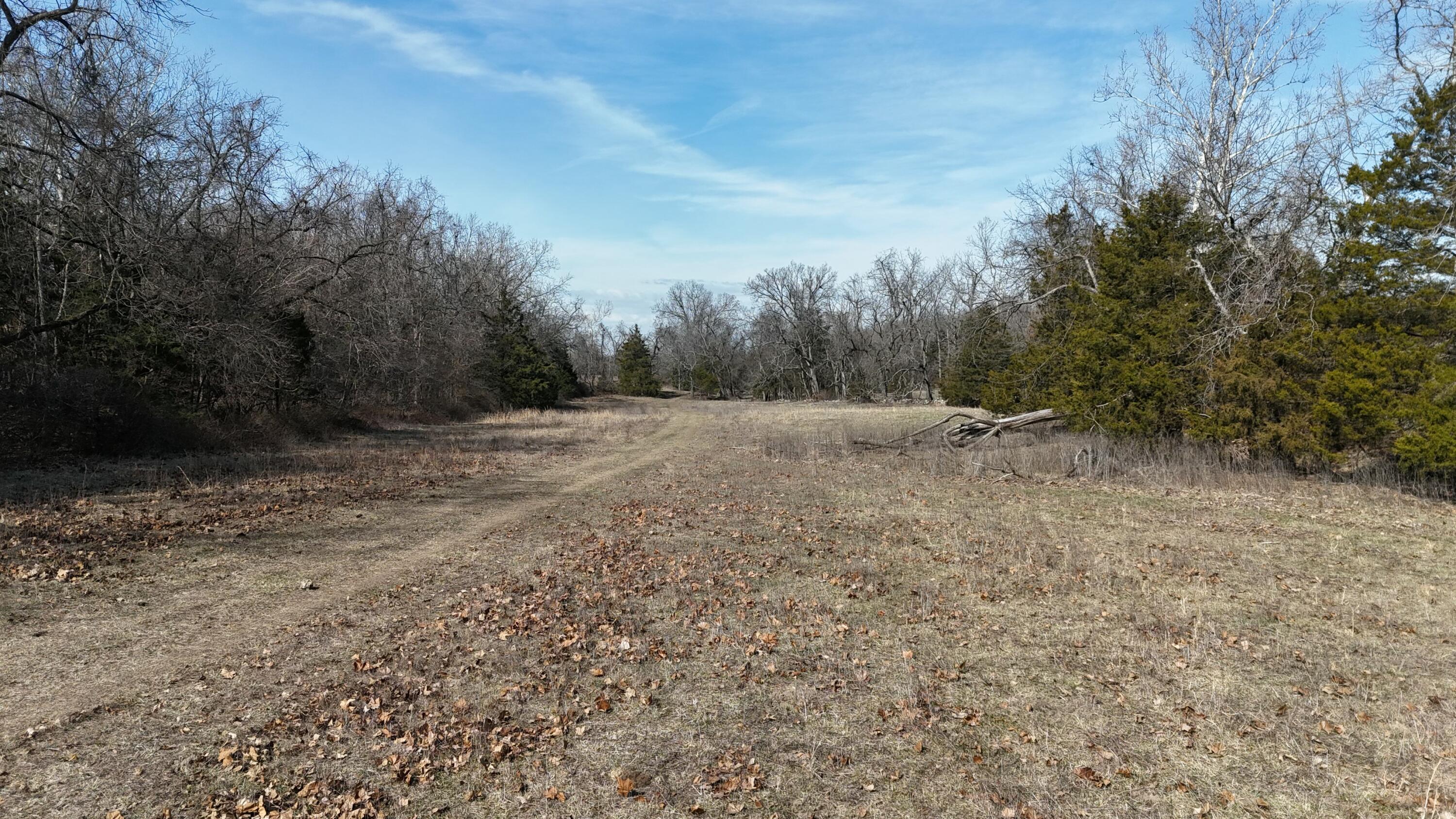 Property Photo 41