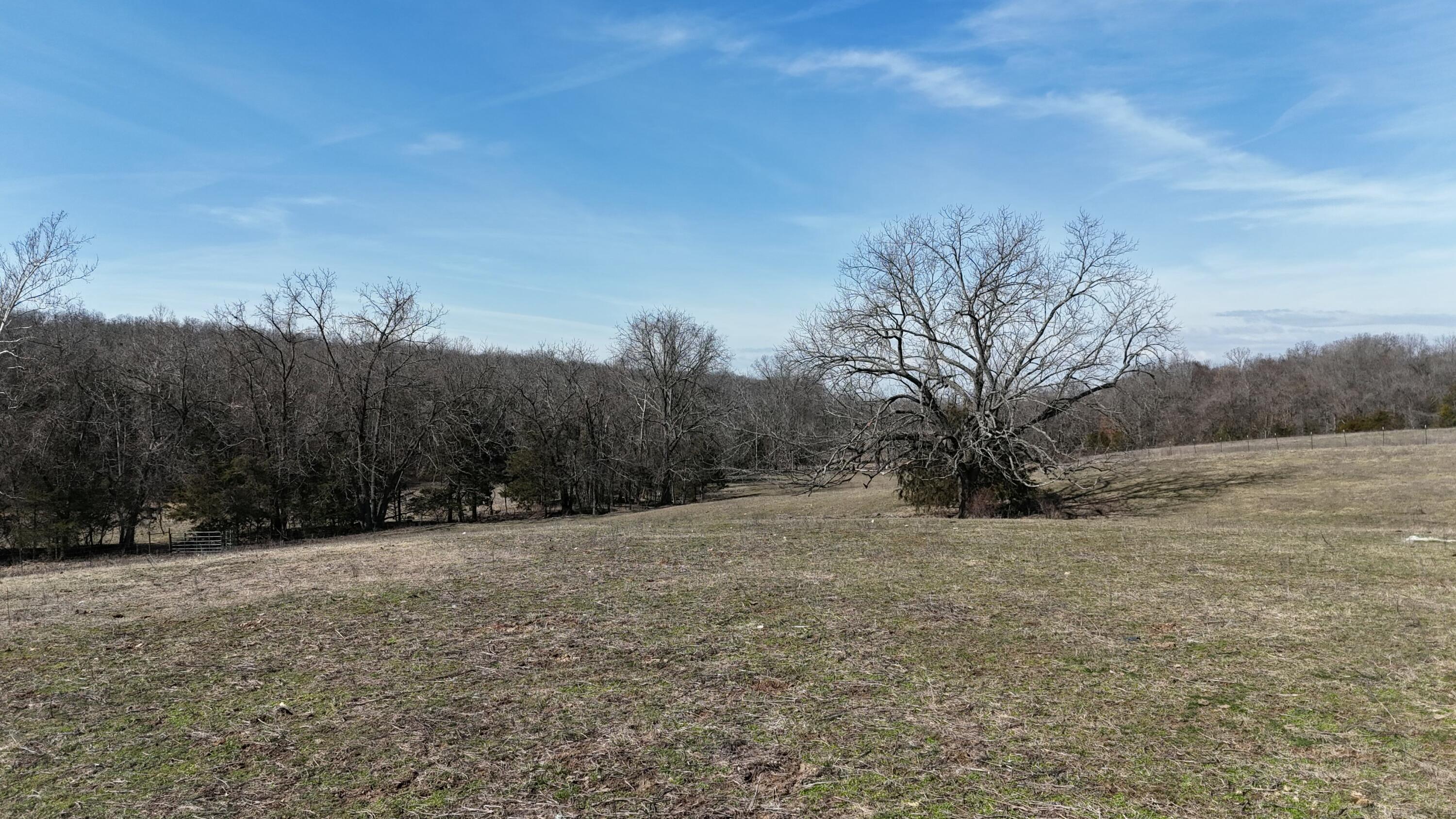 Property Photo 46