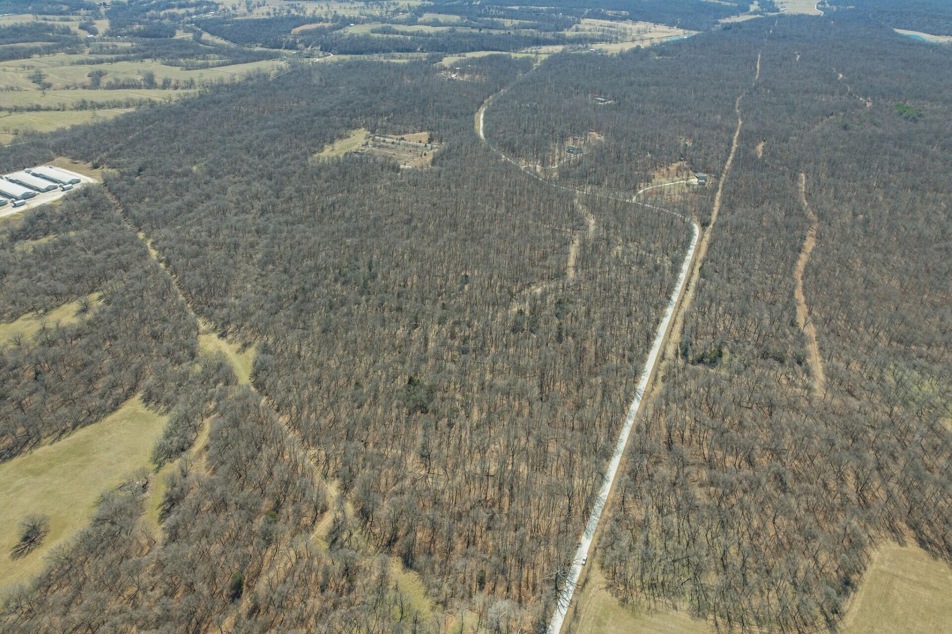 Lot 1 Mink Drive (4 Ac) Property Photo 3