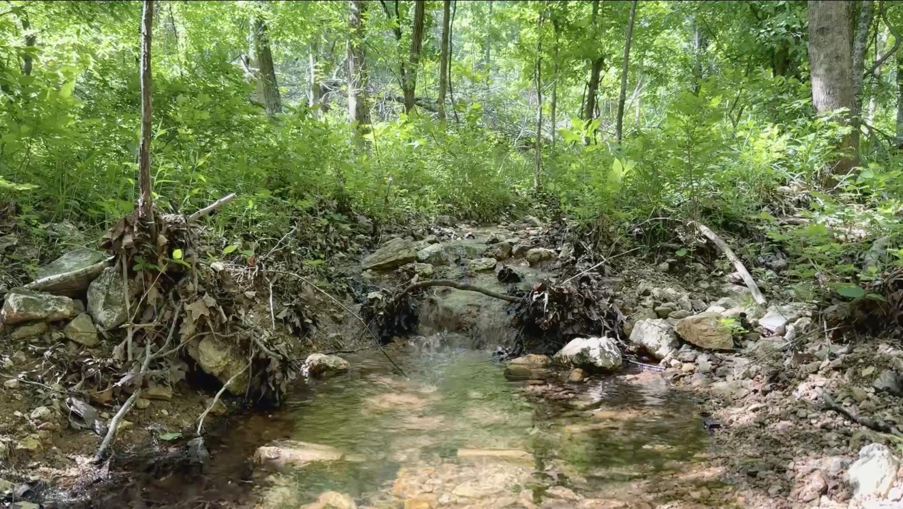 10824 Upper Janes Creek Road Road Property Photo