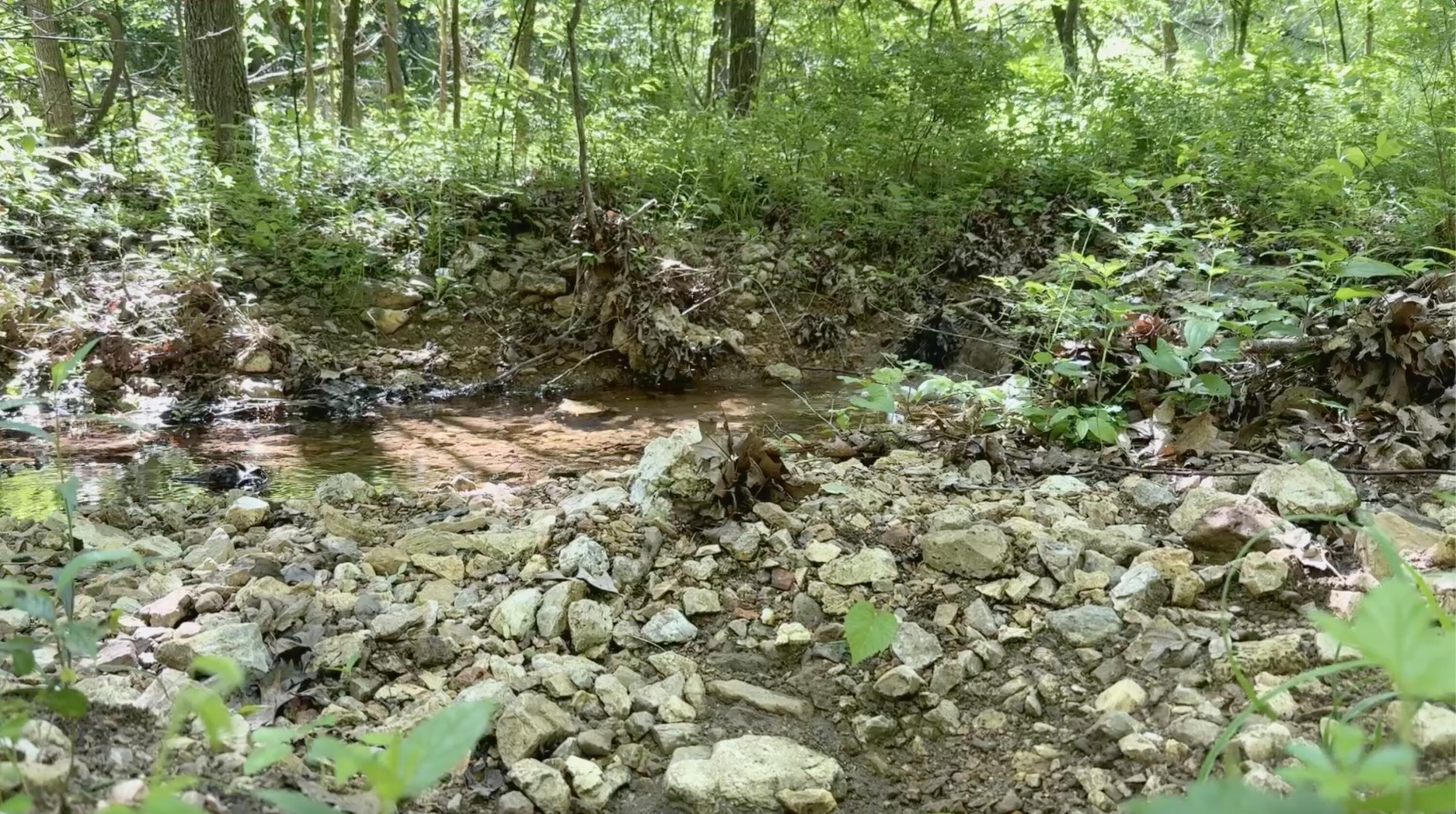 10824 Upper Janes Creek Road Road Property Photo 6
