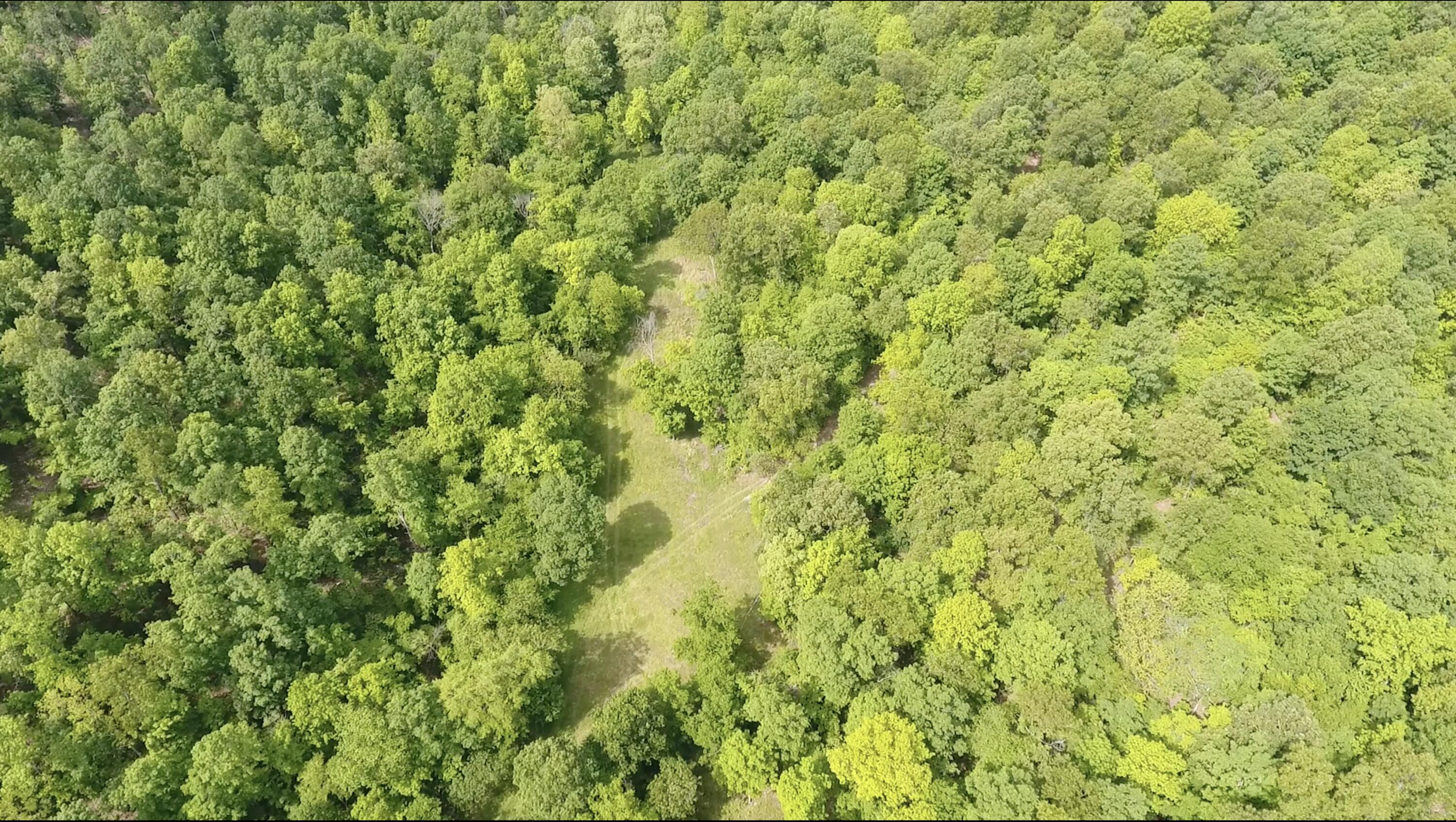 10824 Upper Janes Creek Road Road Property Photo 7