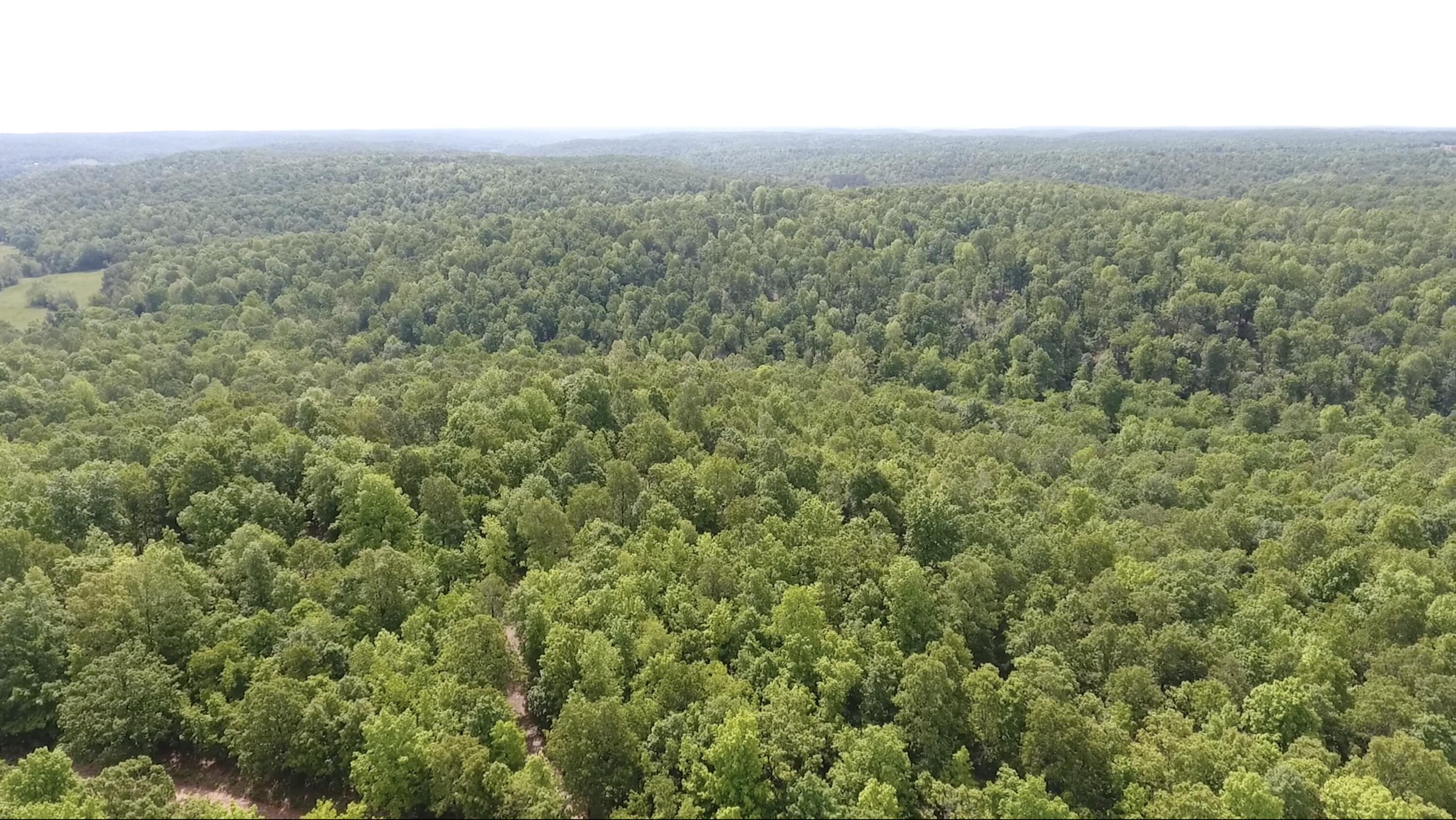 10824 Upper Janes Creek Road Road Property Photo 8