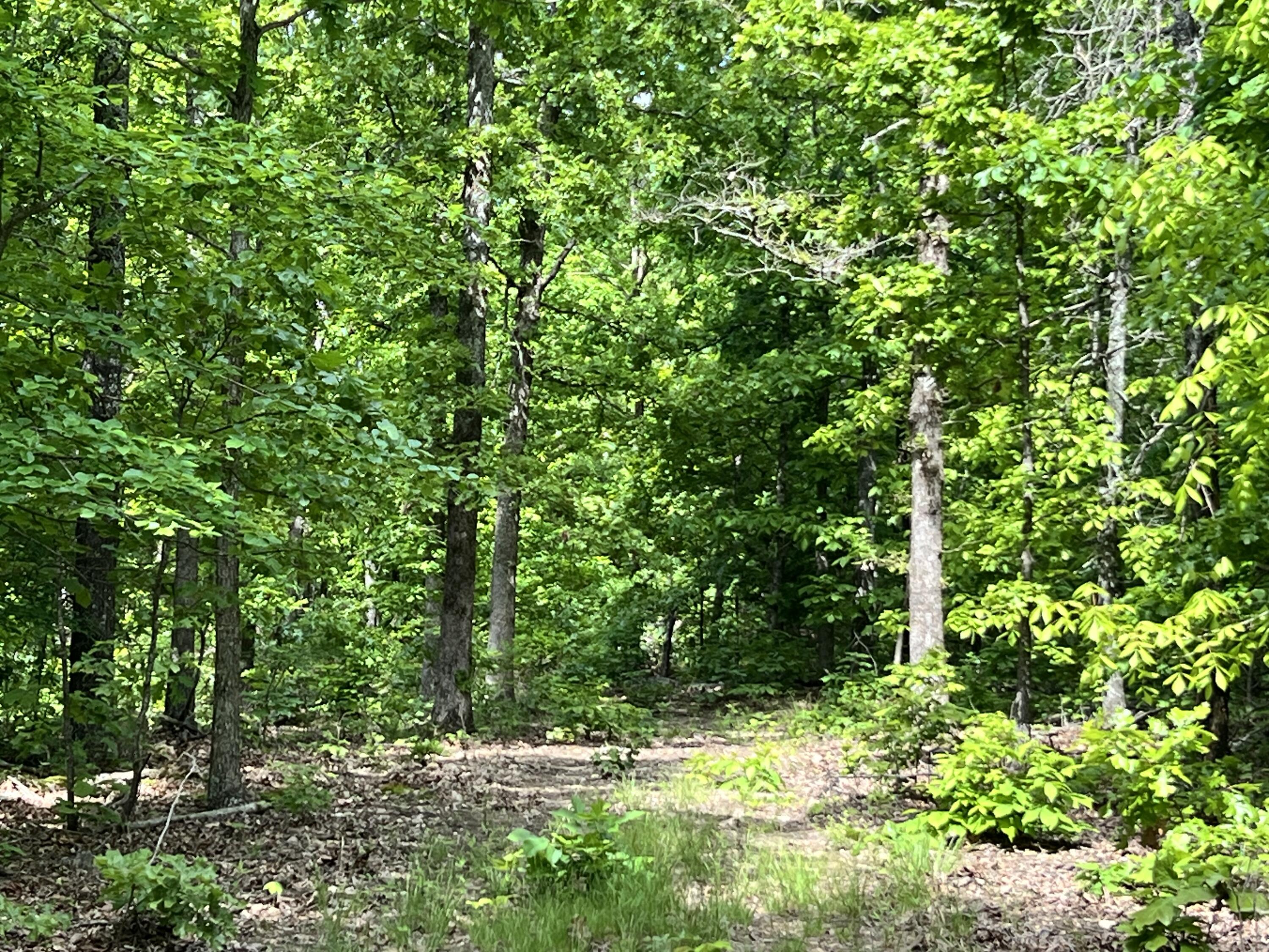 10824 Upper Janes Creek Road Road Property Photo 9