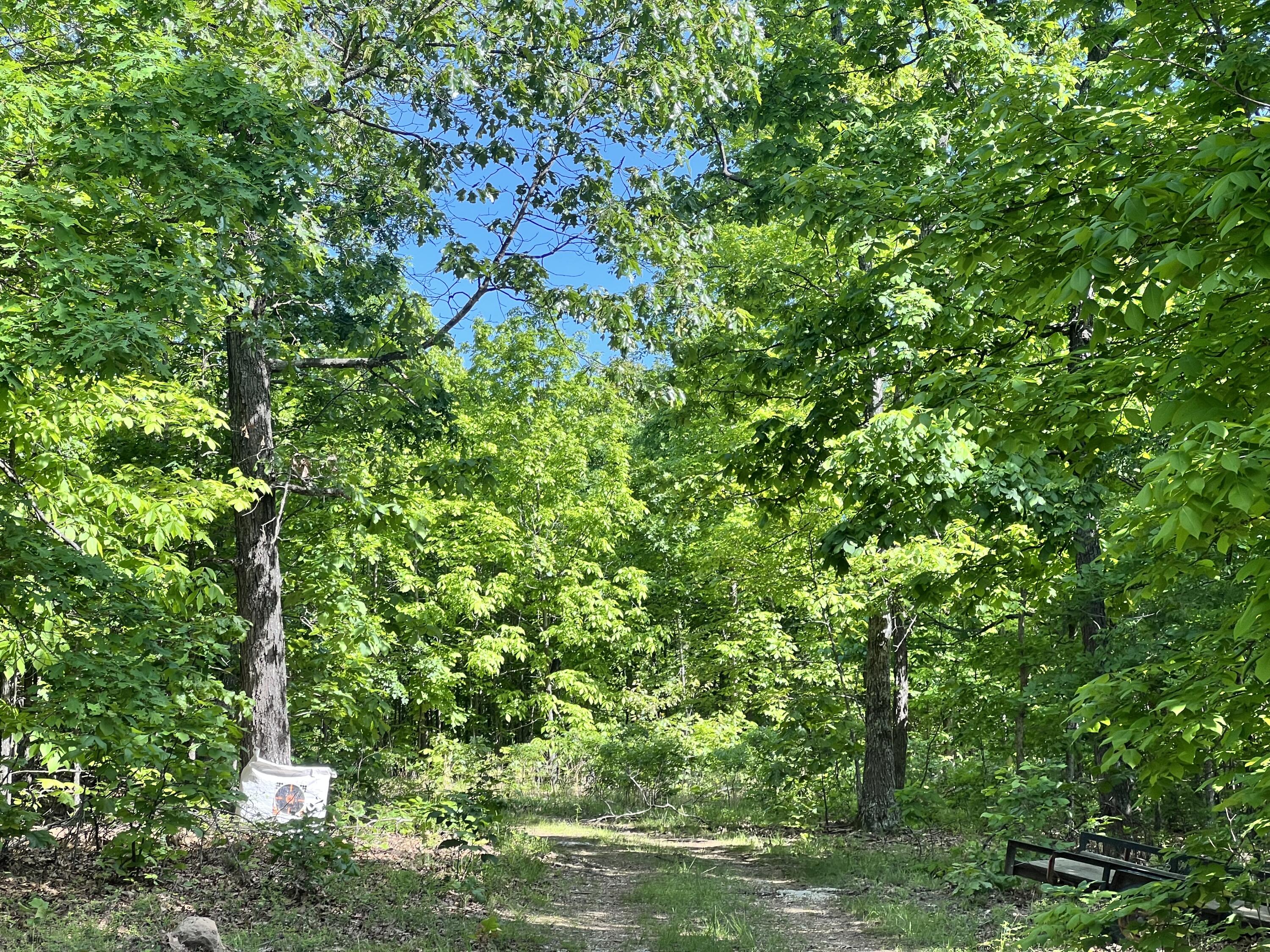 10824 Upper Janes Creek Road Road Property Photo 10