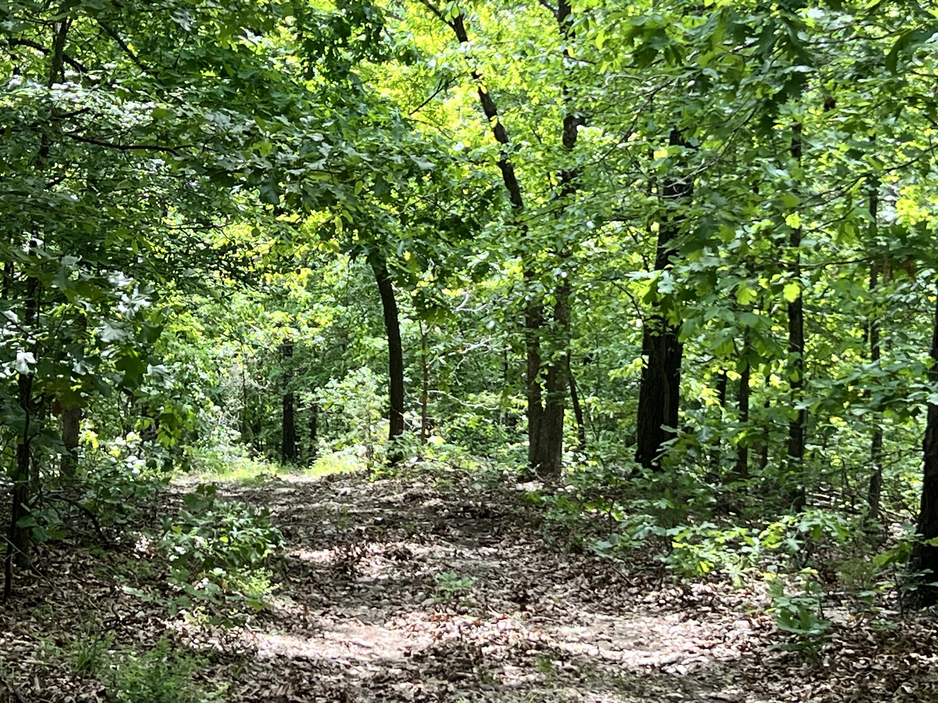 10824 Upper Janes Creek Road Road Property Photo 11