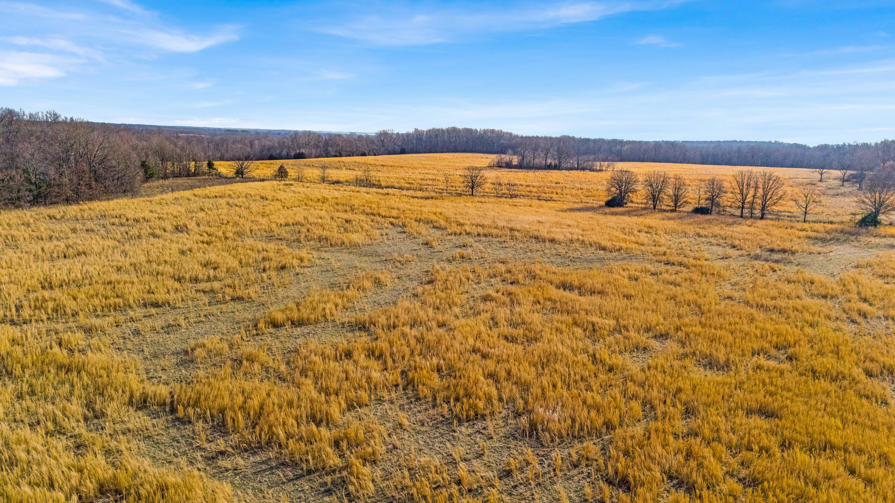 3503 County Road 7640 Property Photo 47