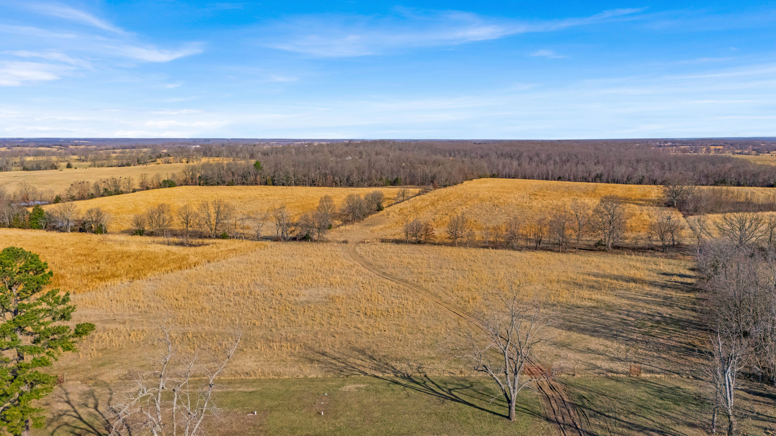 3503 County Road 7640 Property Photo 58