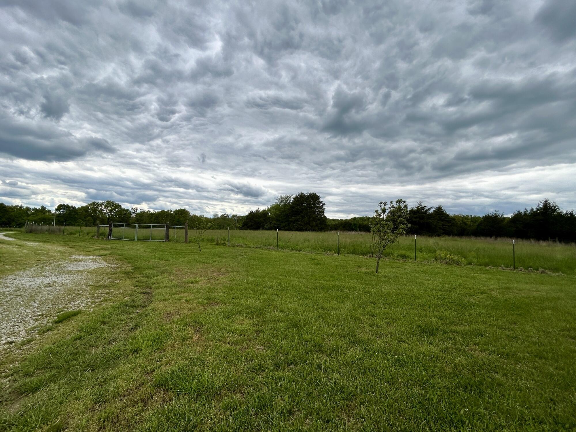 6609 County Road O-535 Property Photo 3