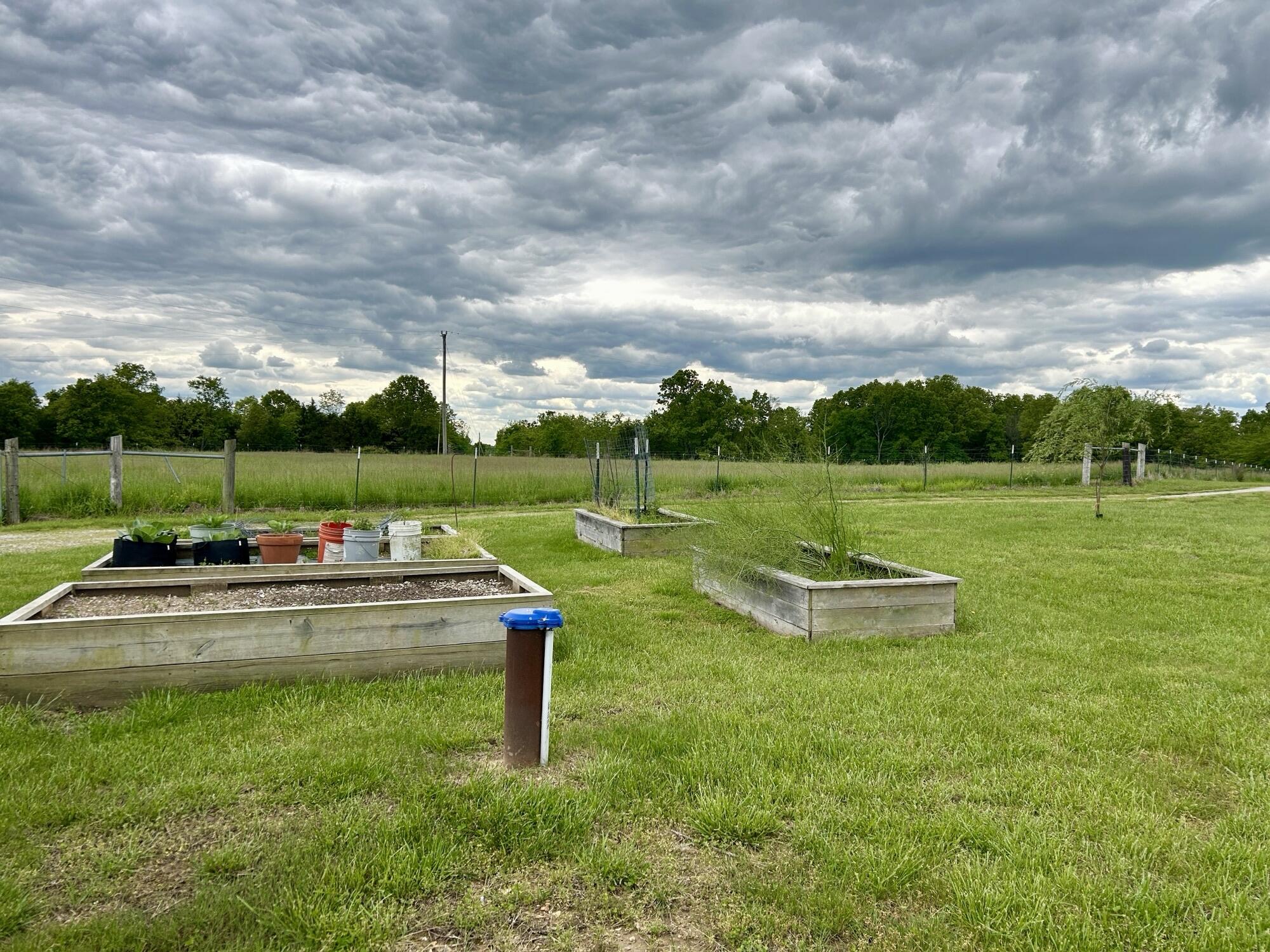 6609 County Road O-535 Property Photo 4
