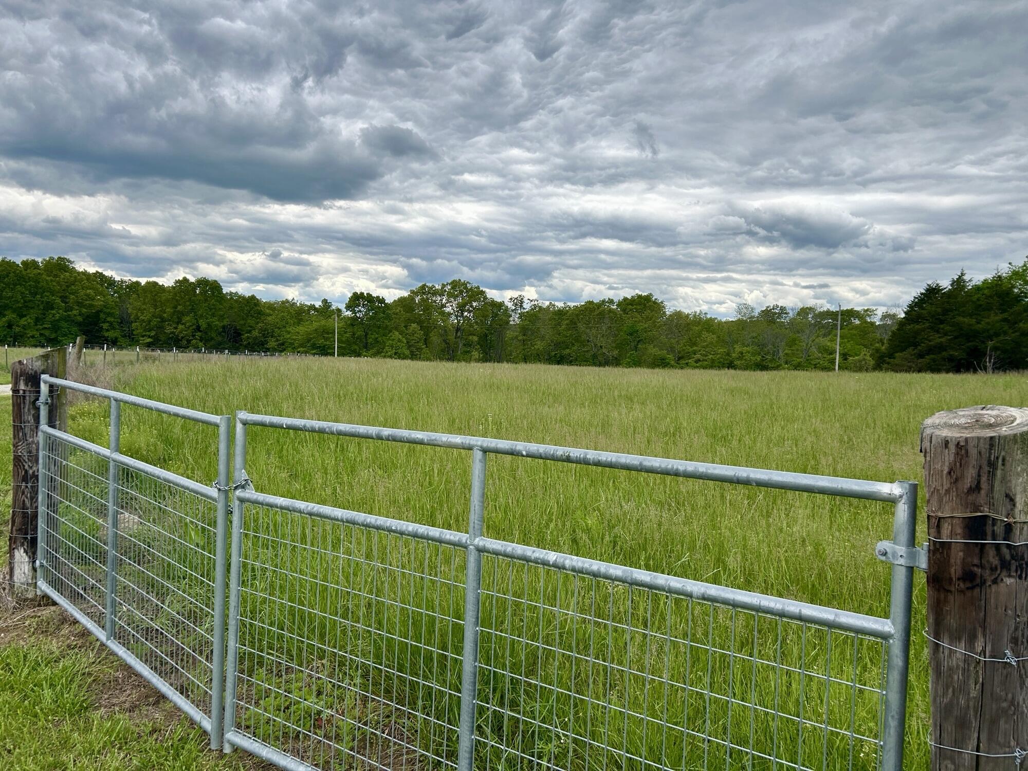 6609 County Road O-535 Property Photo 12