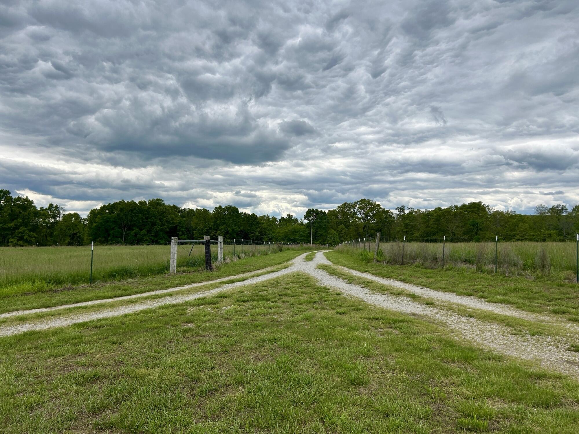 6609 County Road O-535 Property Photo 13