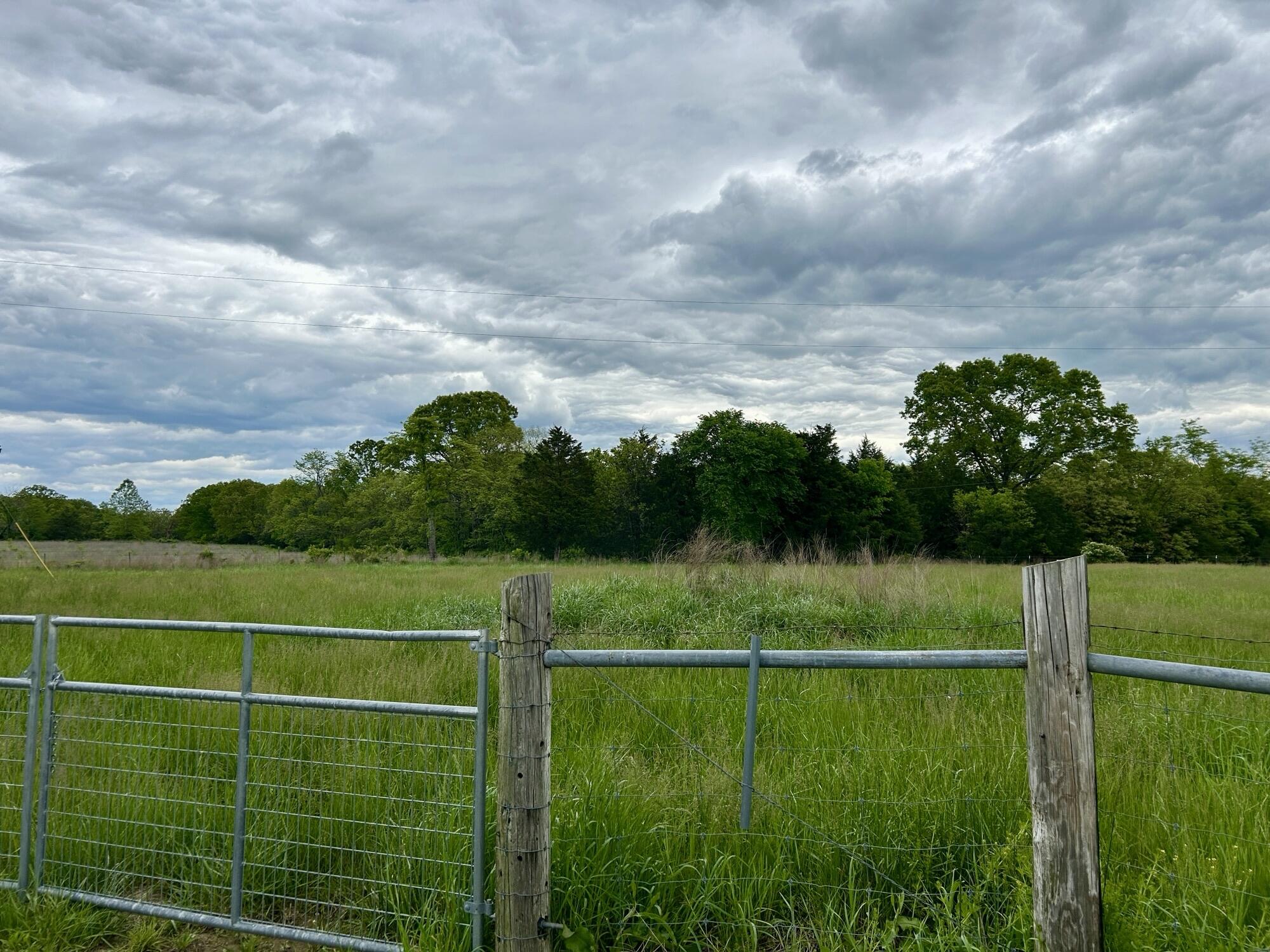 6609 County Road O-535 Property Photo 15