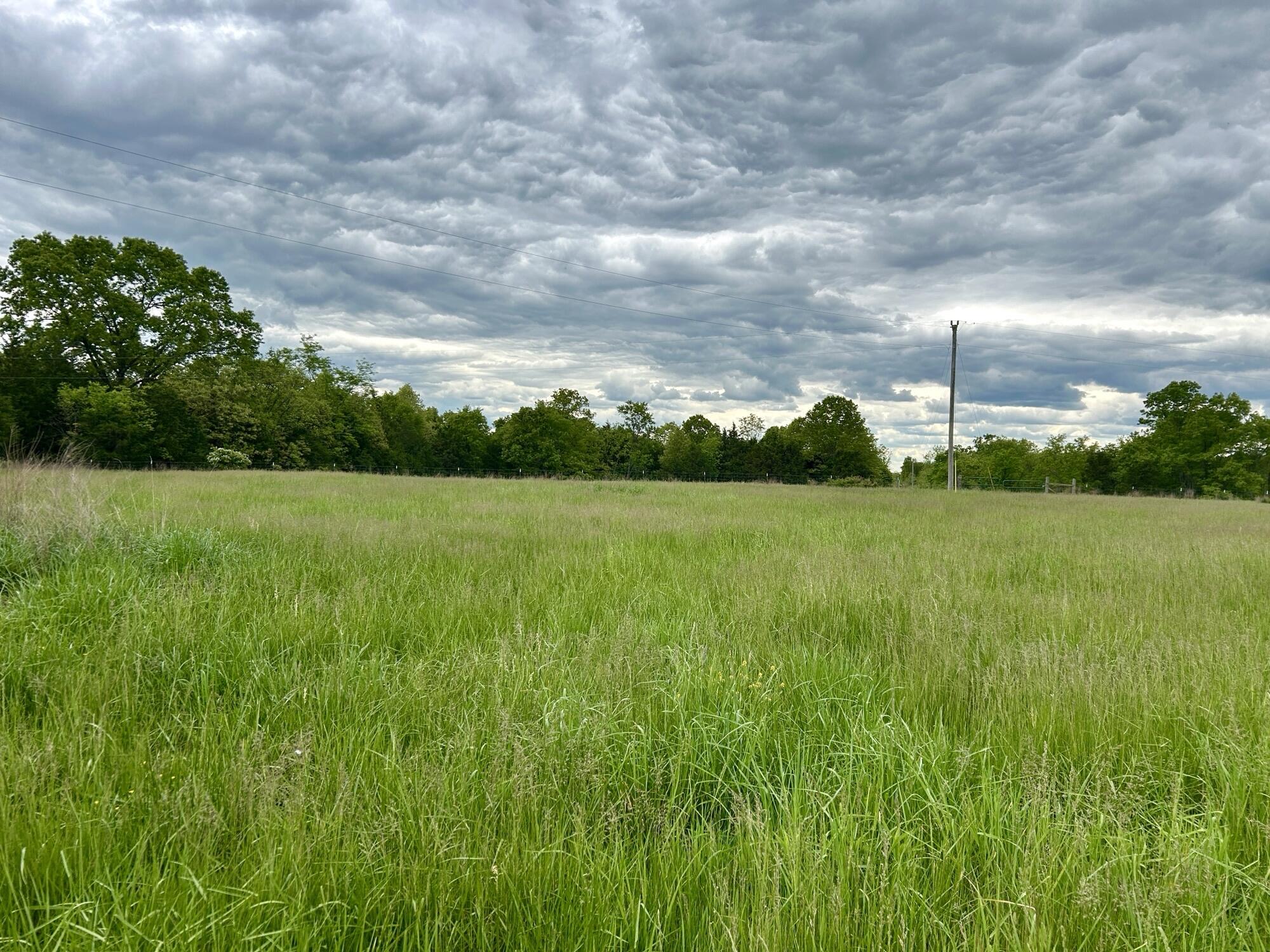 6609 County Road O-535 Property Photo 16